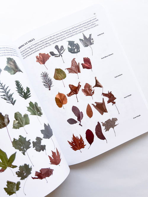 Subjective Atlas of Bosnia and Herzegovina