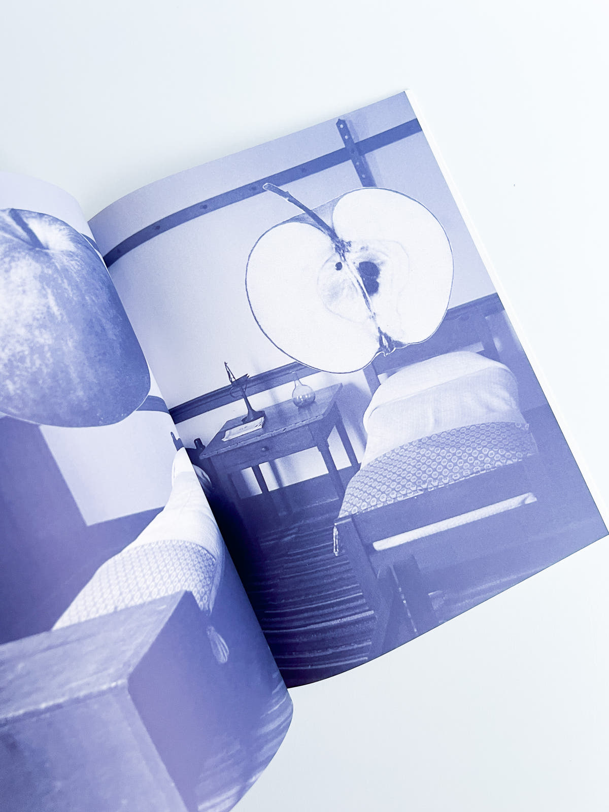 Nikukyu Issue #14 2013 Summer by Sally Scott