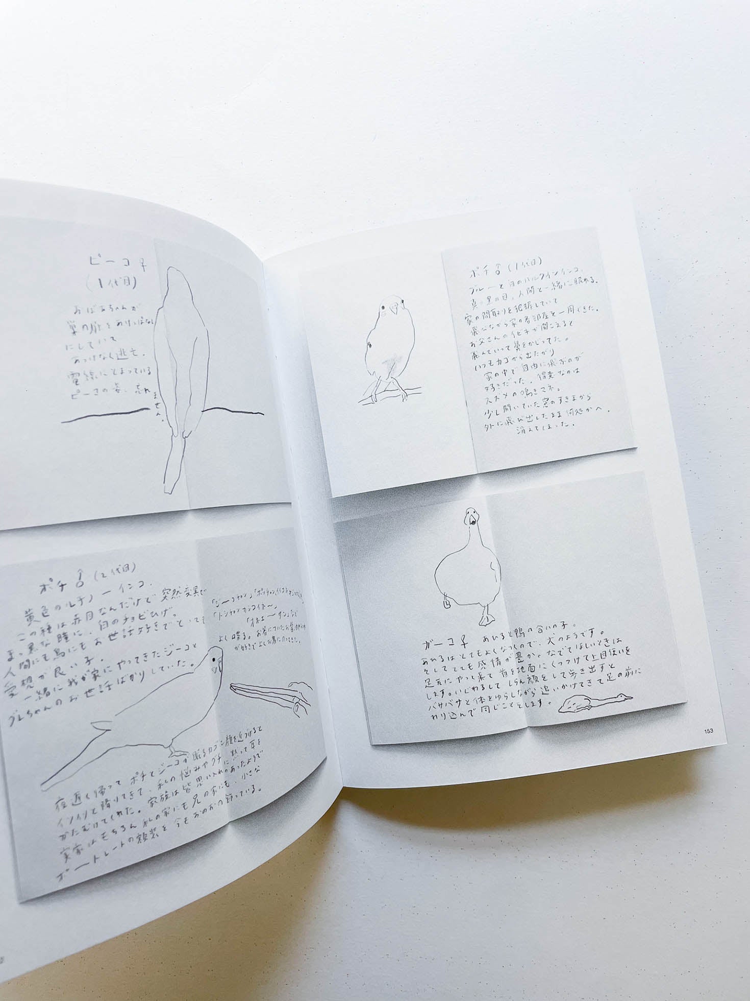 PEN, PENCIL, PEOPLE, ANIMALS AND PLANTS / Izumi Shiokawa [SIGNED]