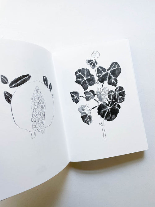 PEN, PENCIL, PEOPLE, ANIMALS AND PLANTS / Izumi Shiokawa [SIGNED]