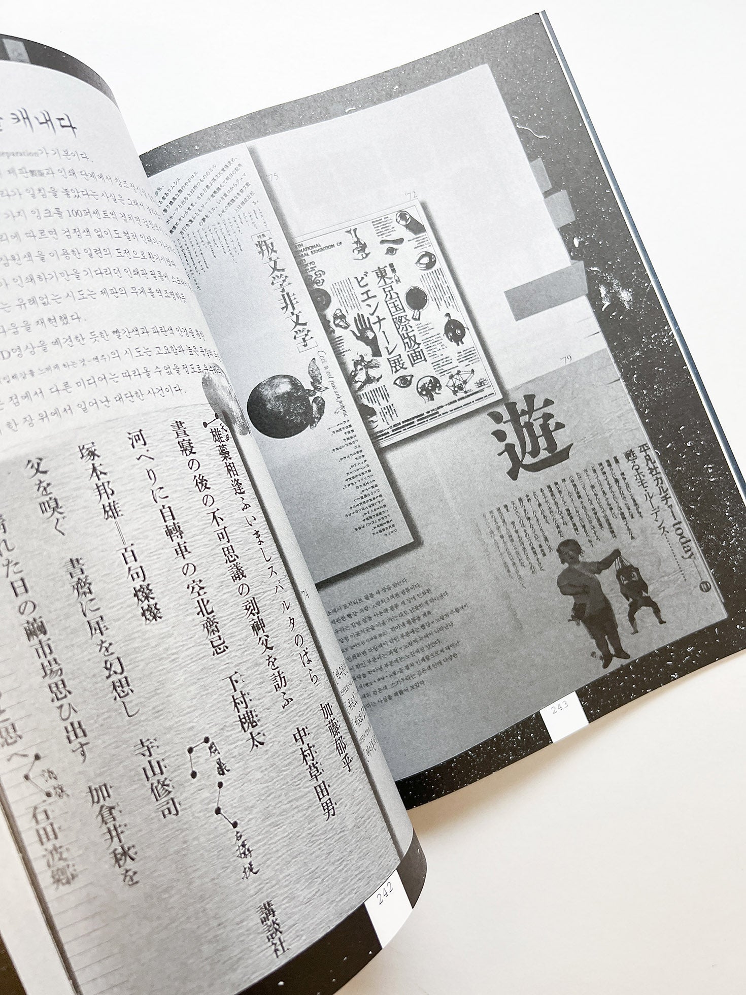 GRAPHIC 50 Voice, Notes from Typojanchi 2023