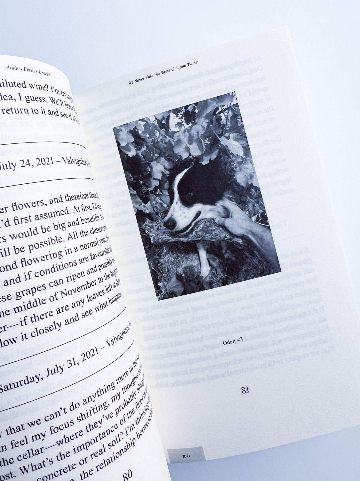 We Never Fold the Same Origami Twice, Anders Frederik Steen (Vol. II)