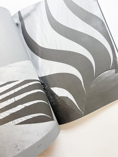 GRAPHIC 50 Voice, Notes from Typojanchi 2023