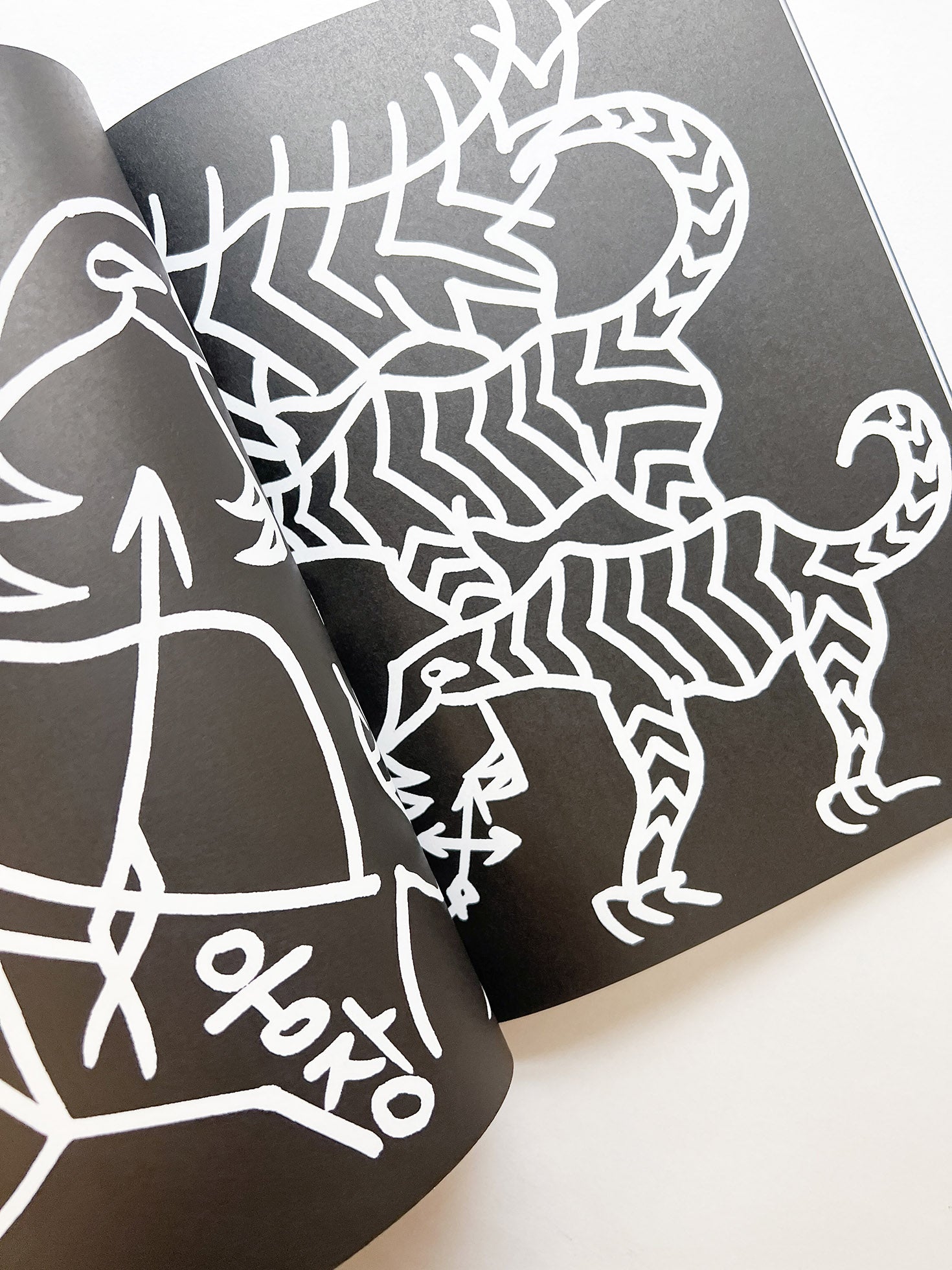 GRAPHIC 50 Voice, Notes from Typojanchi 2023