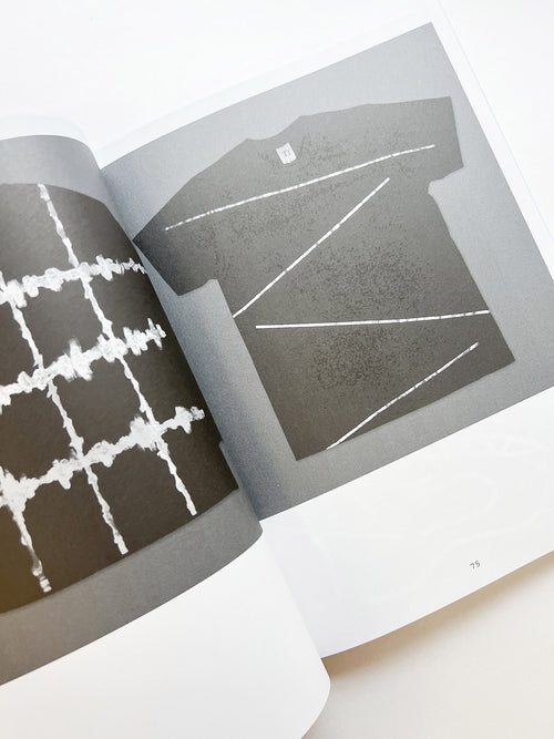 GRAPHIC 50 Voice, Notes from Typojanchi 2023