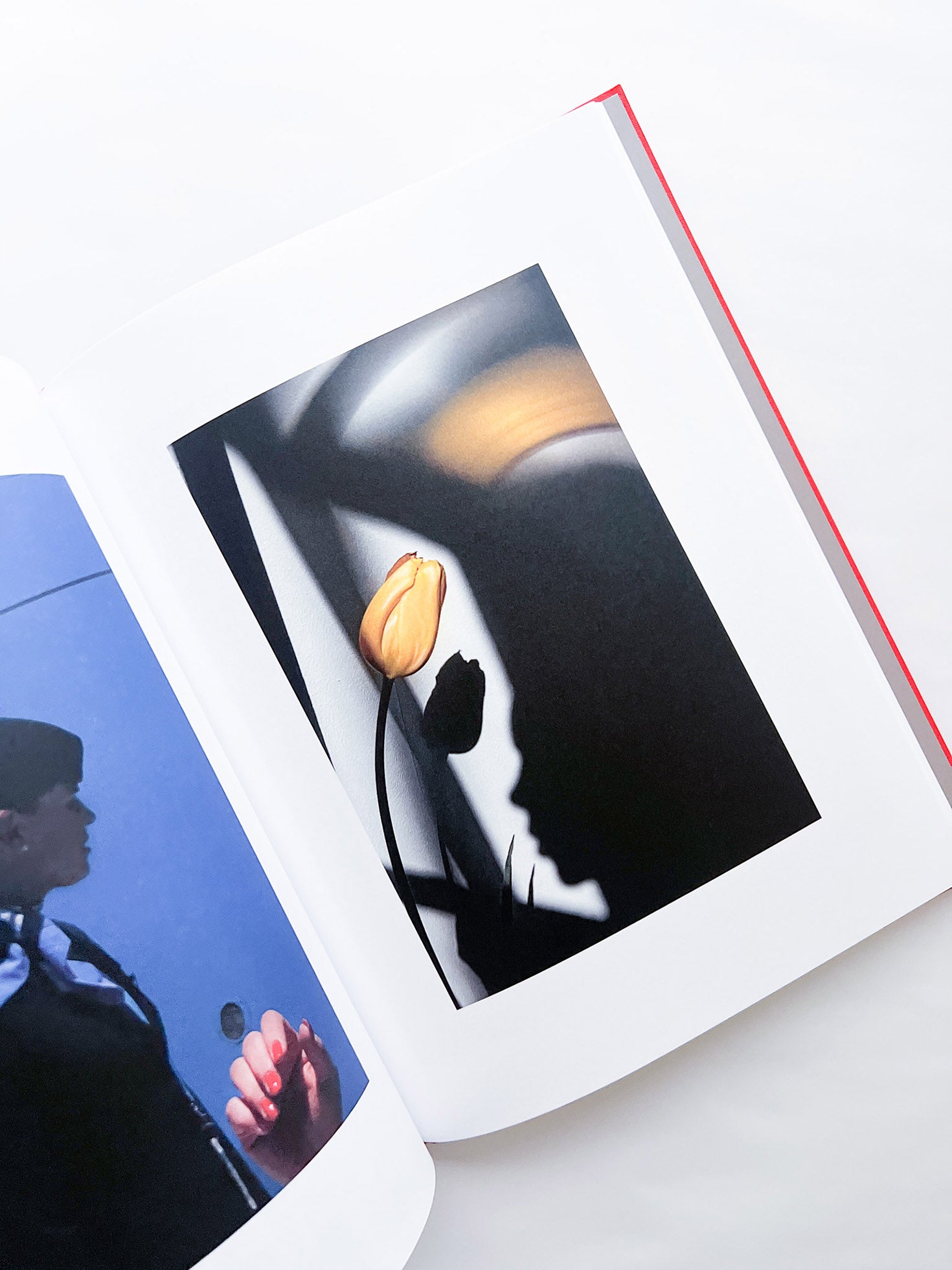 Atlas of Echos / Sarah van Rij