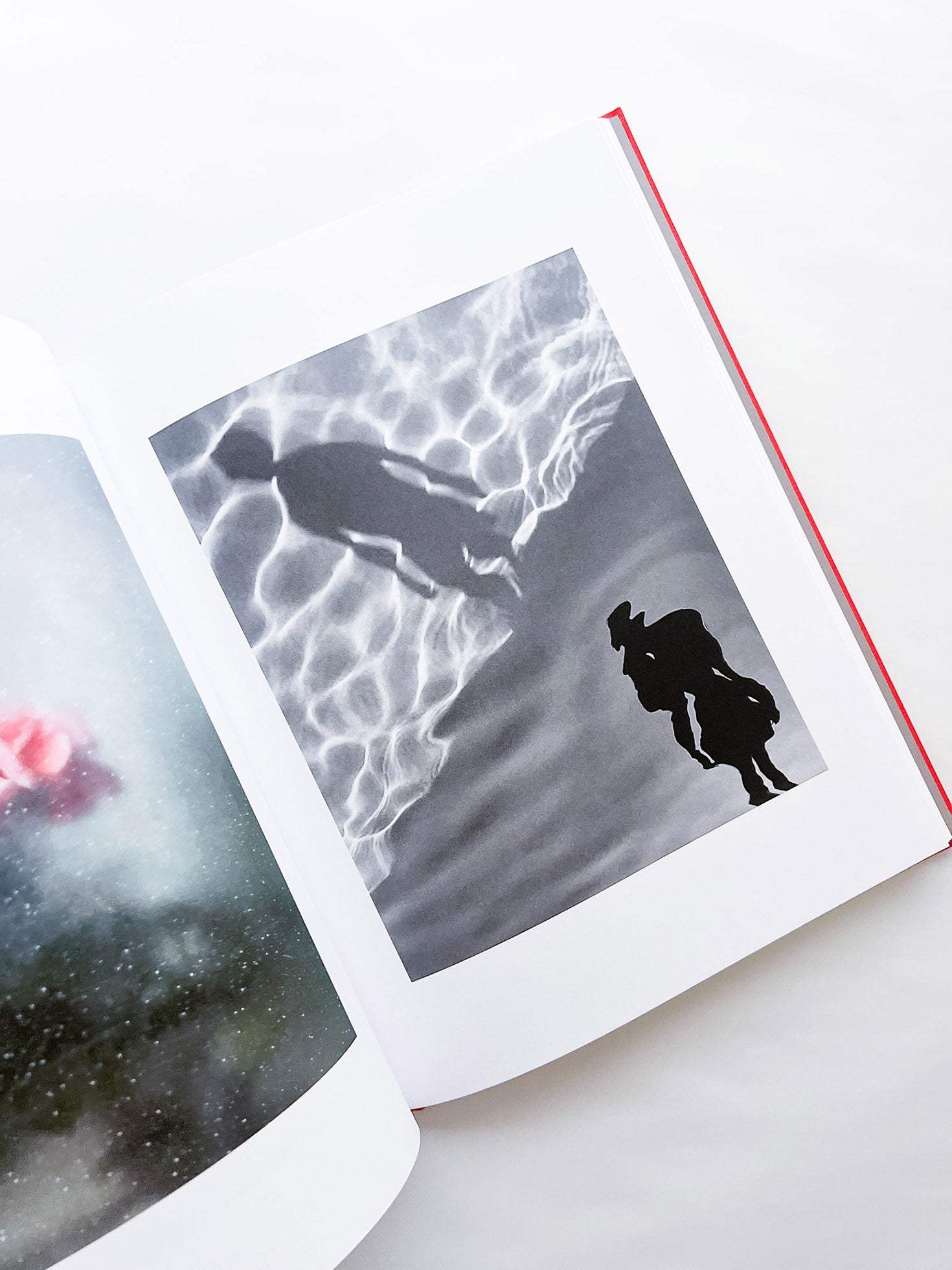 Atlas of Echos / Sarah van Rij