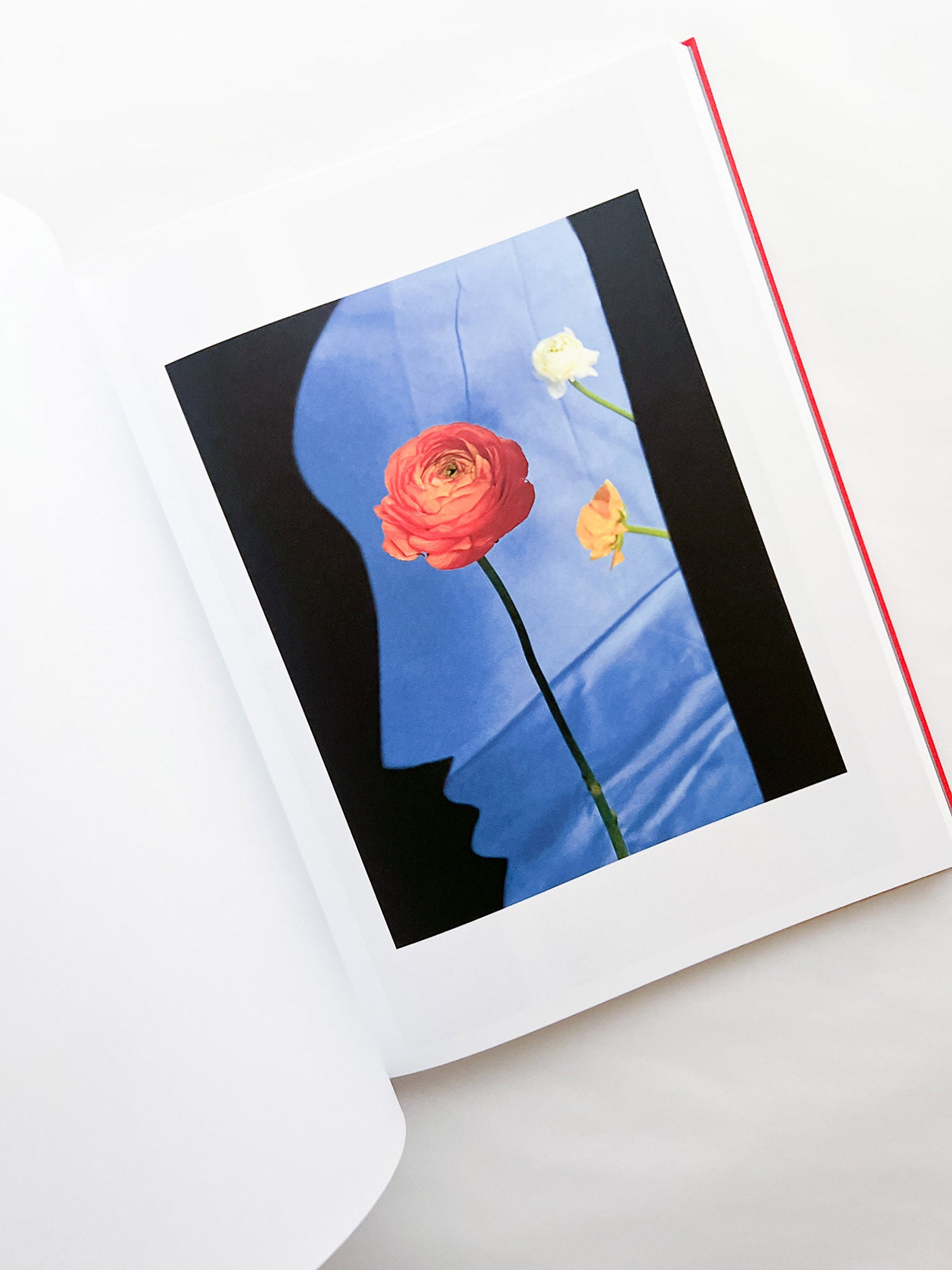 Atlas of Echos / Sarah van Rij