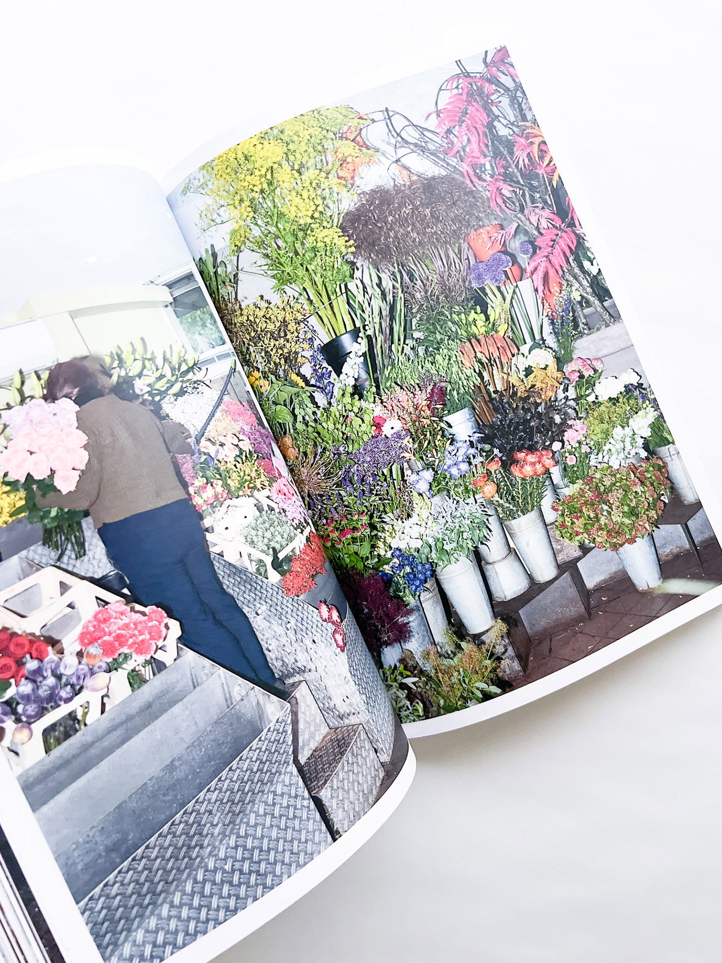 Protean Routes / Jabulani Dhlamini, Jansen van Staden