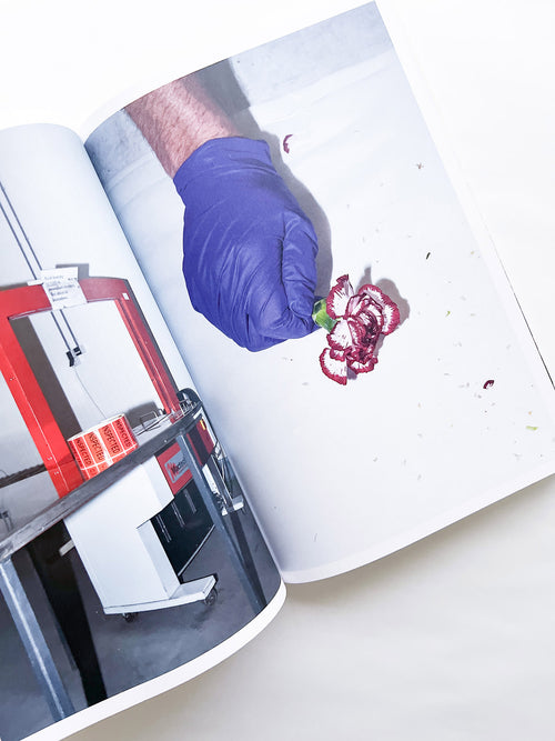 Protean Routes / Jabulani Dhlamini, Jansen van Staden