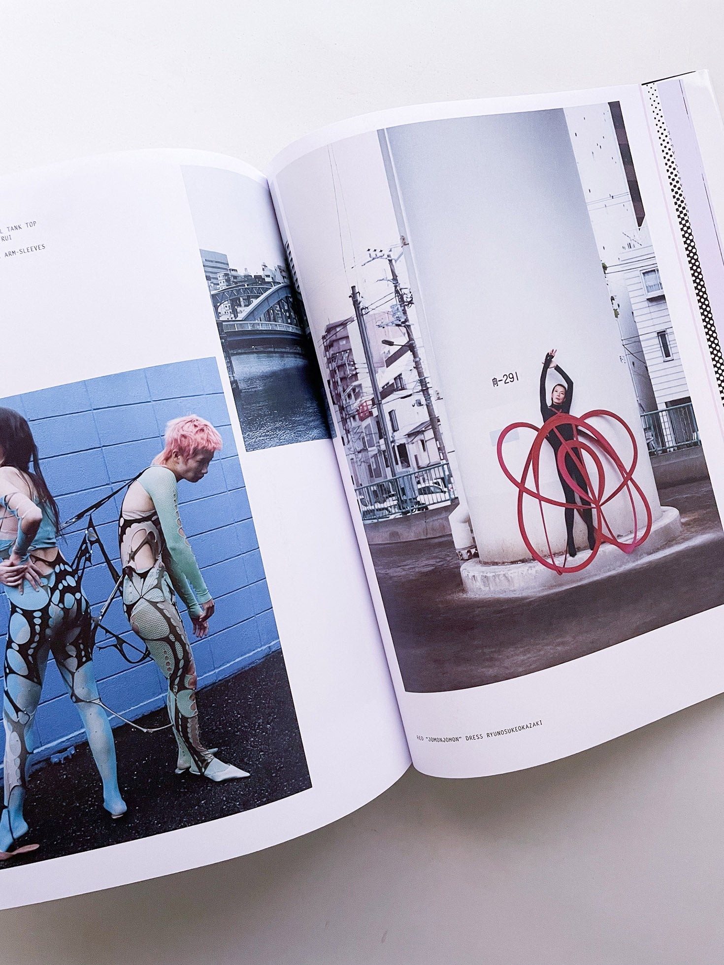 PURPLE #43 The Tokyo Diary Issue - 本屋青旗 Ao-Hata Bookstore