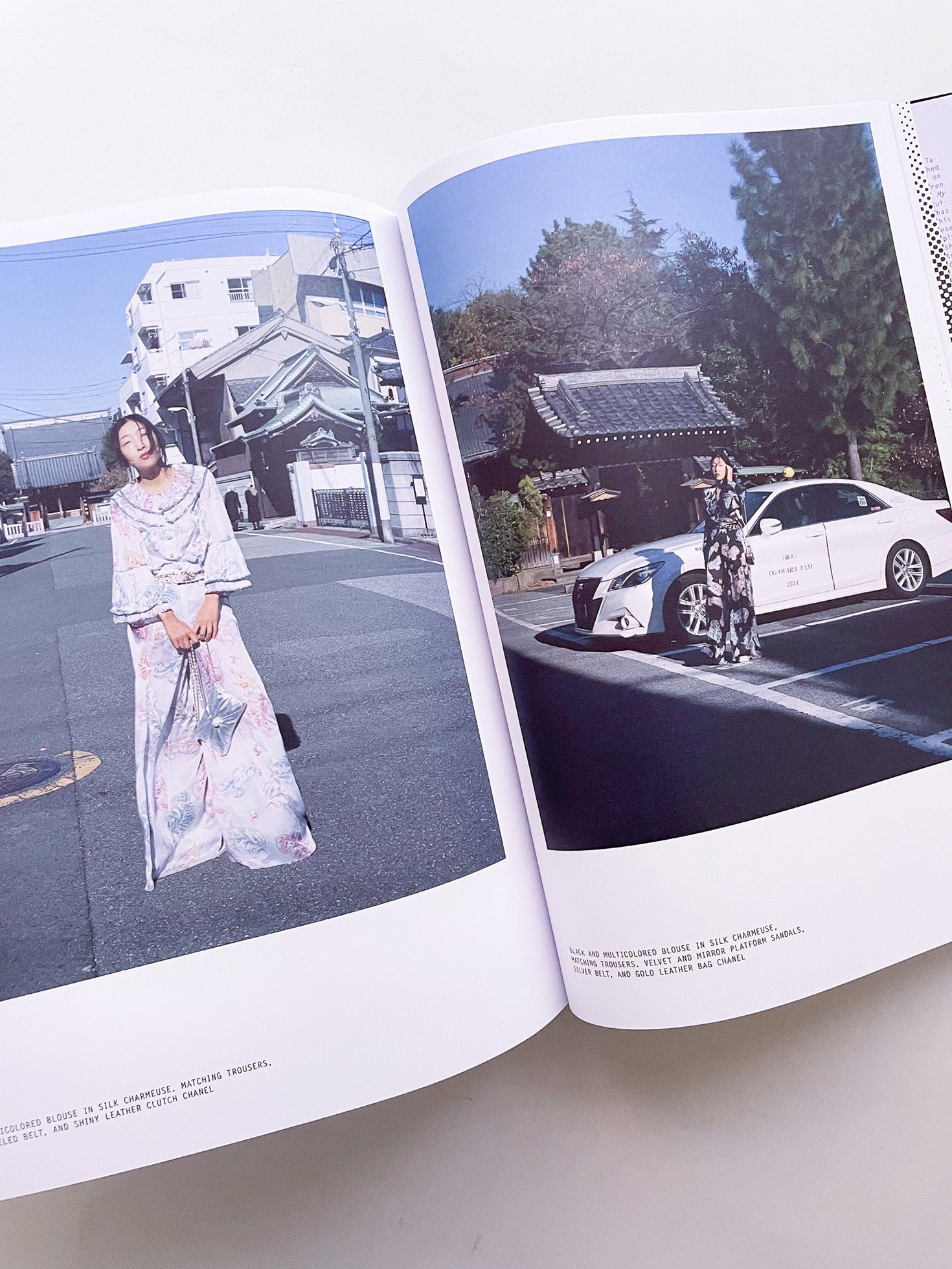 PURPLE #43 The Tokyo Diary Issue - 本 屋 青 旗 Ao-Hata Bookstore