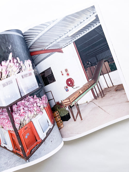 Protean Routes / Jabulani Dhlamini, Jansen van Staden