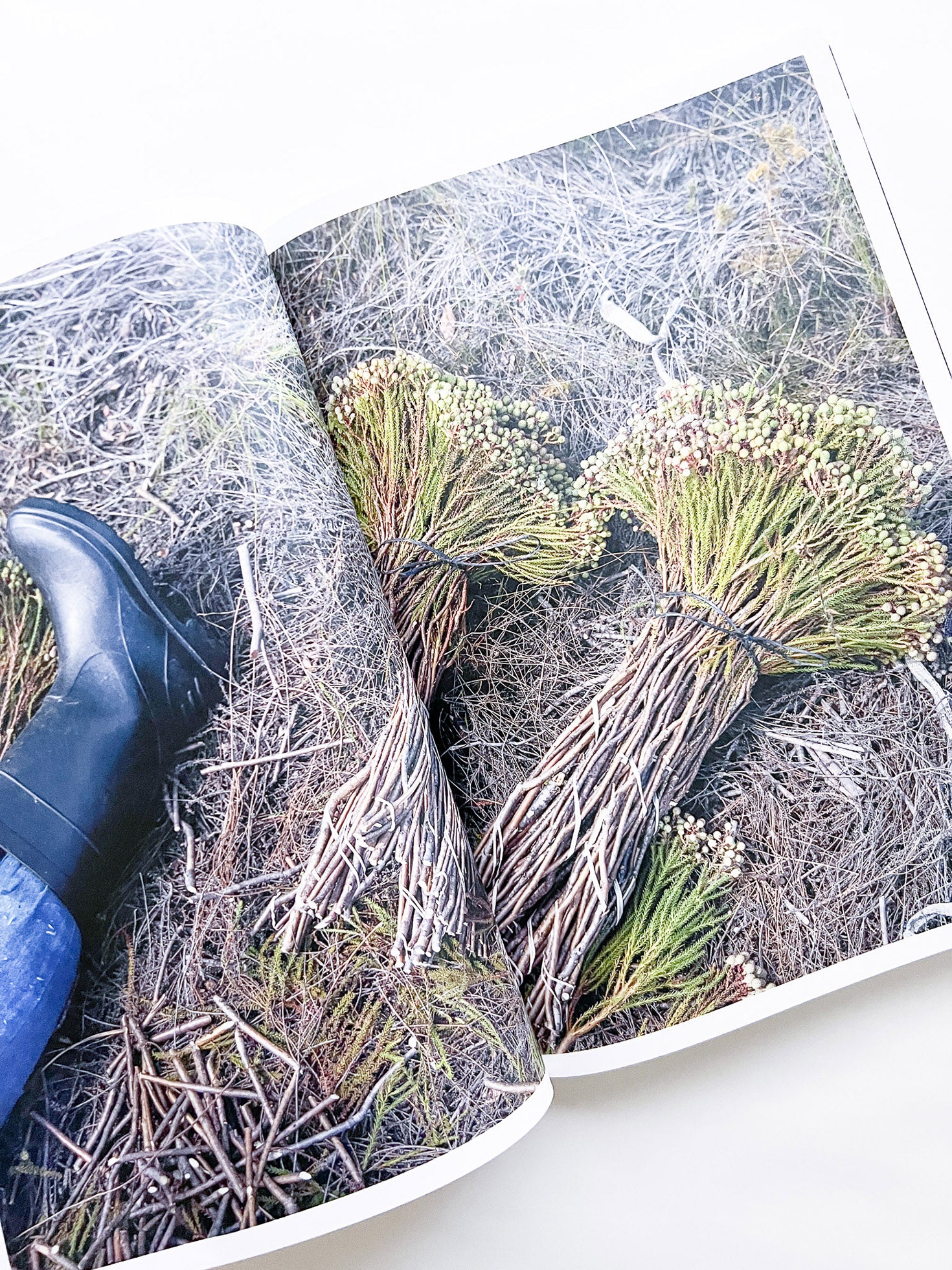 Protean Routes / Jabulani Dhlamini, Jansen van Staden