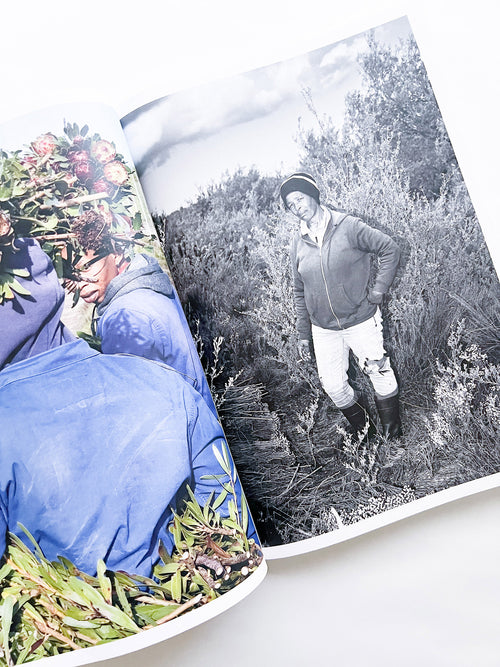 Protean Routes / Jabulani Dhlamini, Jansen van Staden