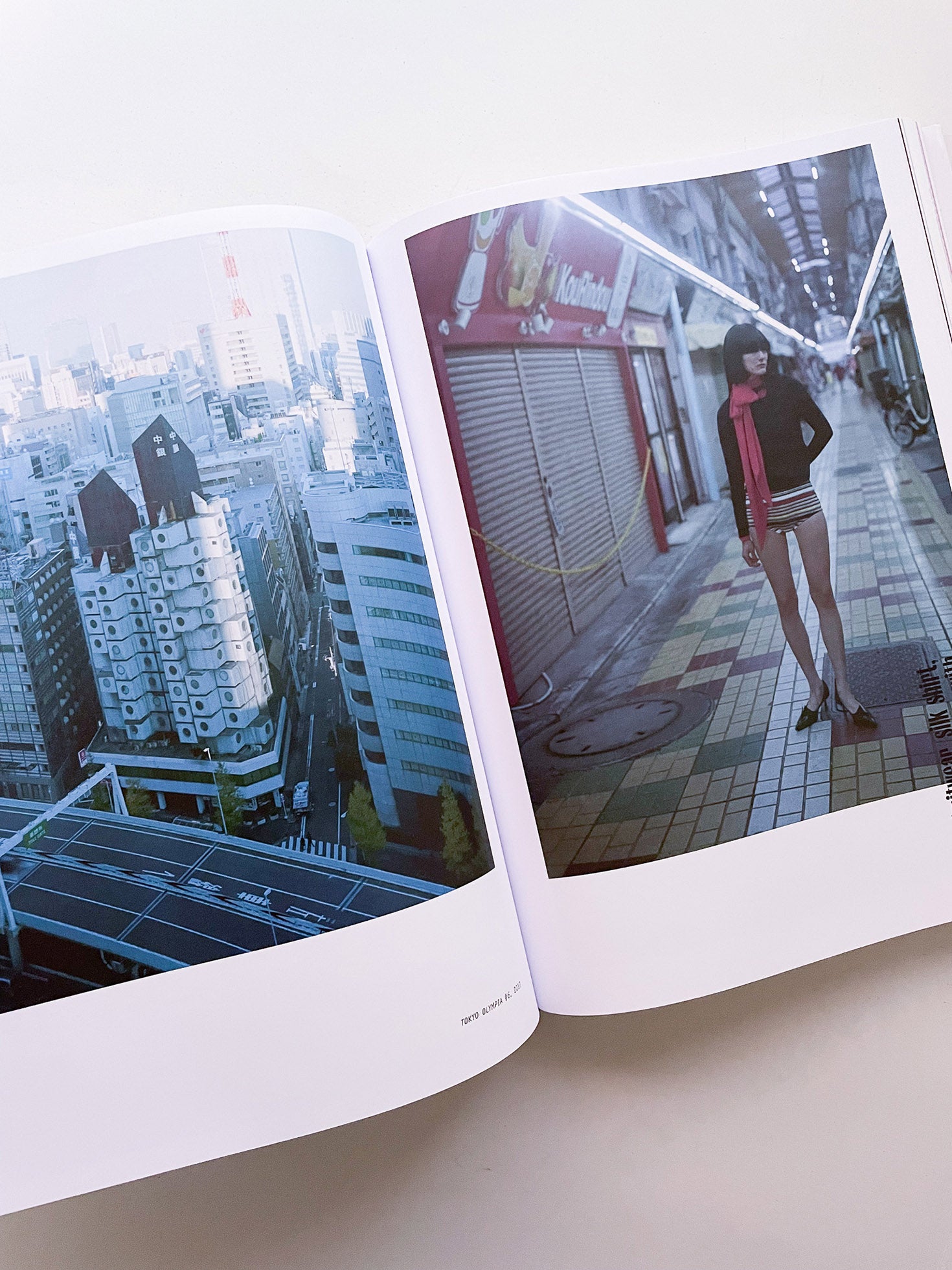 東京書籍 PURPLE #43 The Tokyo Diary Issue - 本屋青旗 Ao-Hata Bookstore