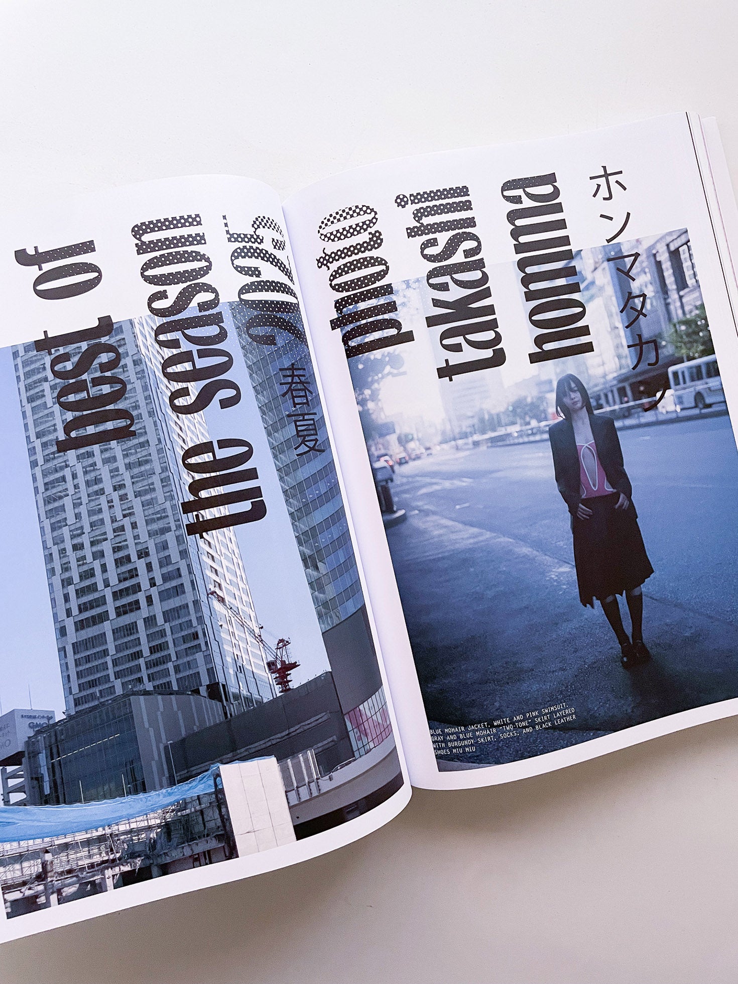 PURPLE #43 The Tokyo Diary Issue - 本屋青旗 Ao-Hata Bookstore