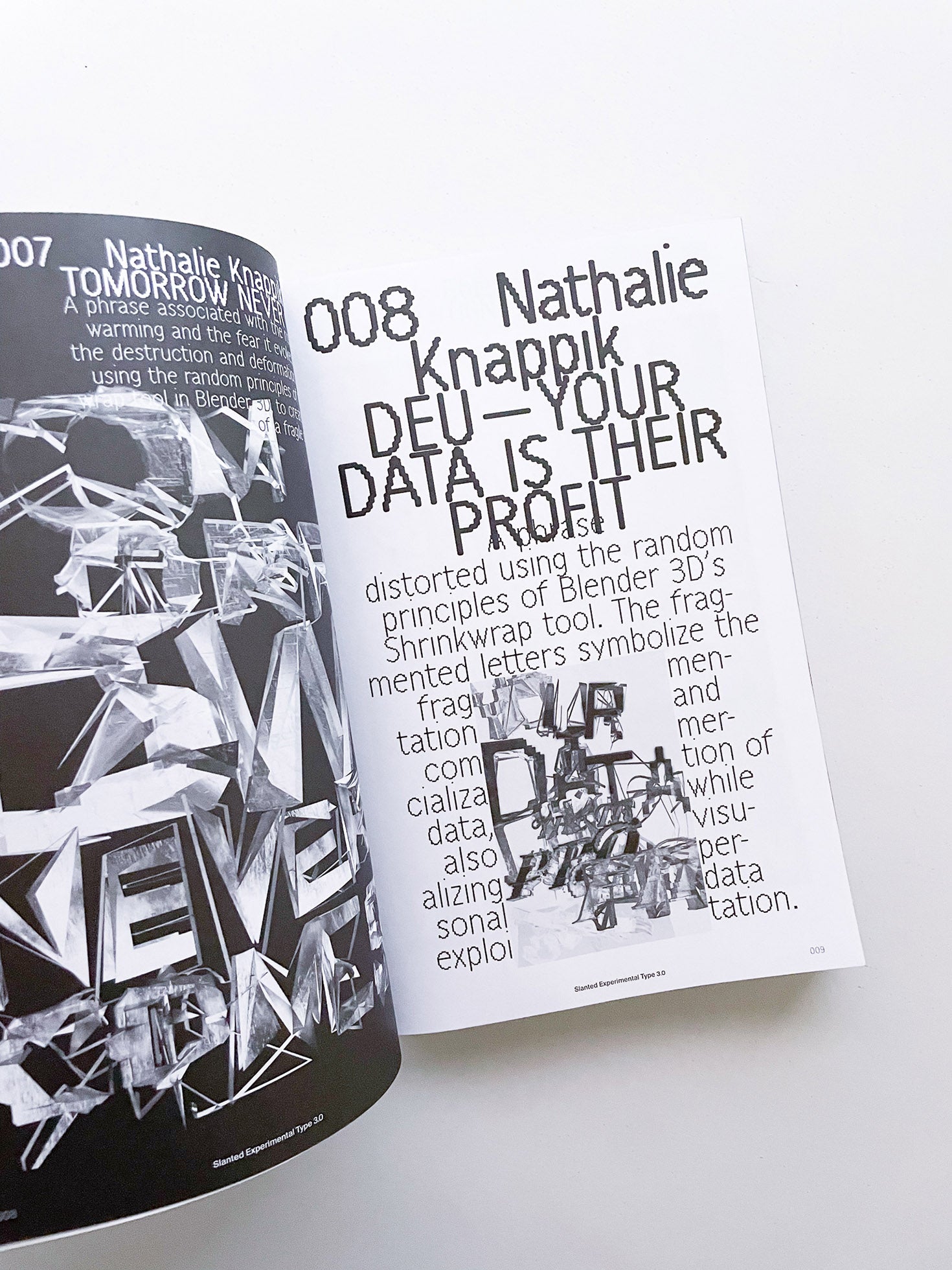 Slanted Experimental Type 3.0 - 本屋青旗 Ao-Hata Bookstore
