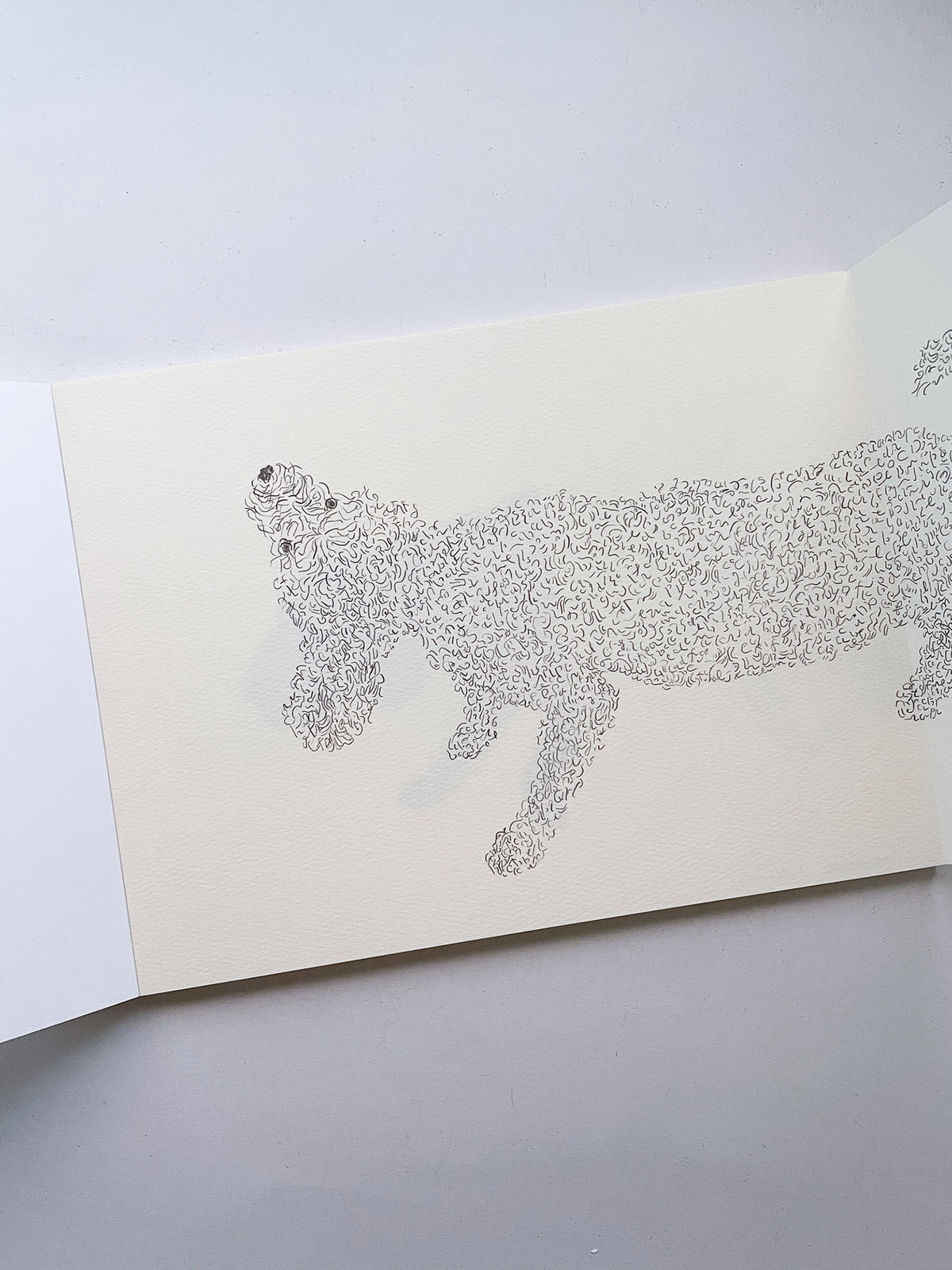 One / Izumi Shiokawa [SIGNED]