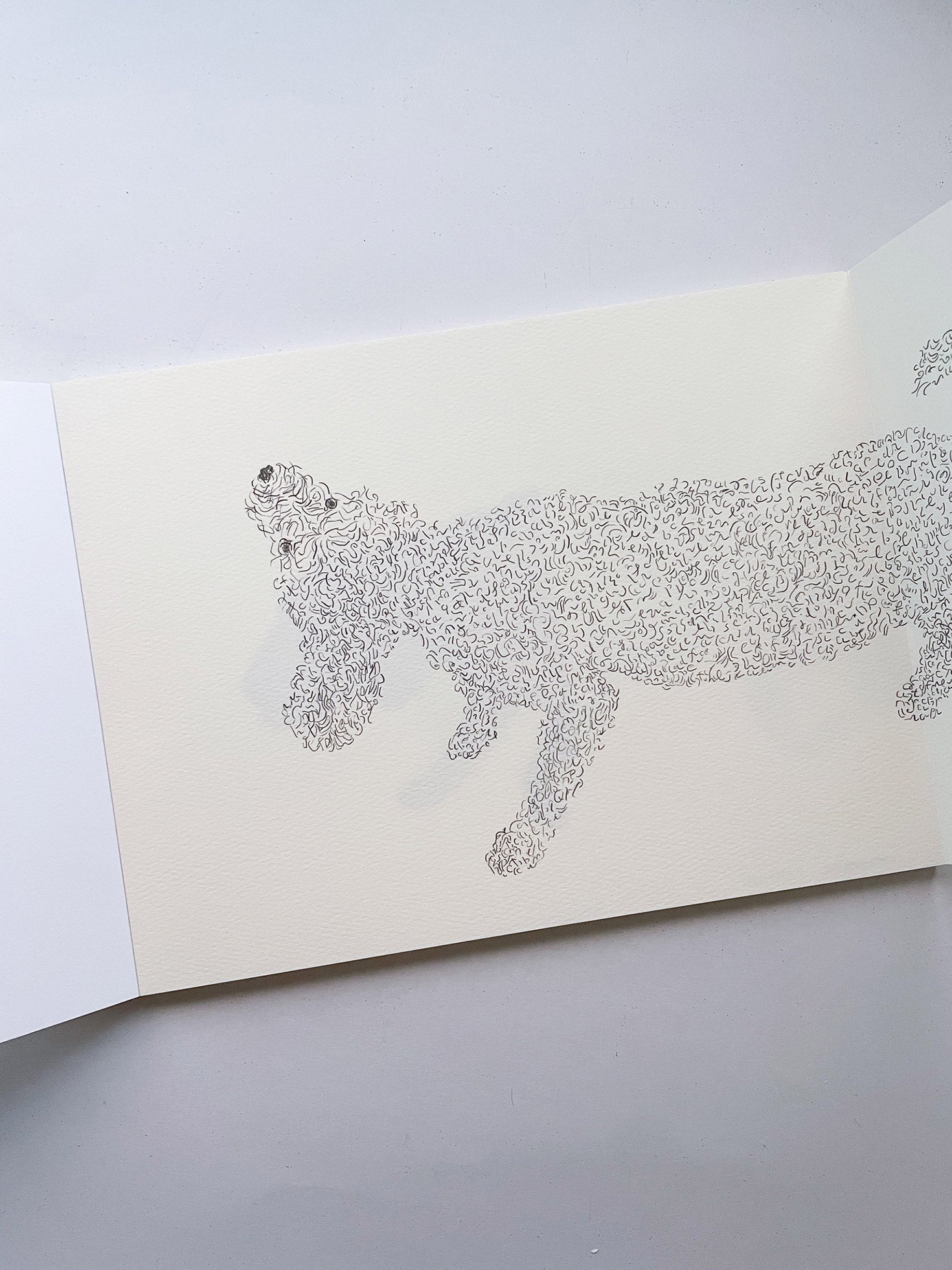 One / Izumi Shiokawa [SIGNED]