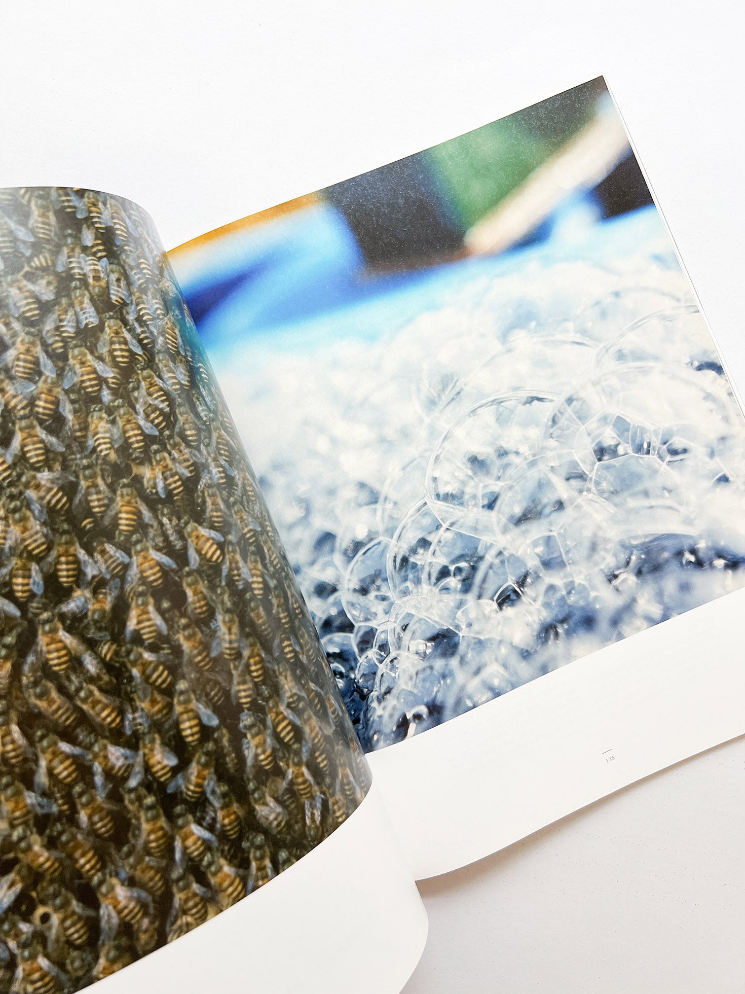 A MAGAZINE CURATED BY YOHJI YAMAMOTO - 本屋青旗 Ao-Hata Bookstore