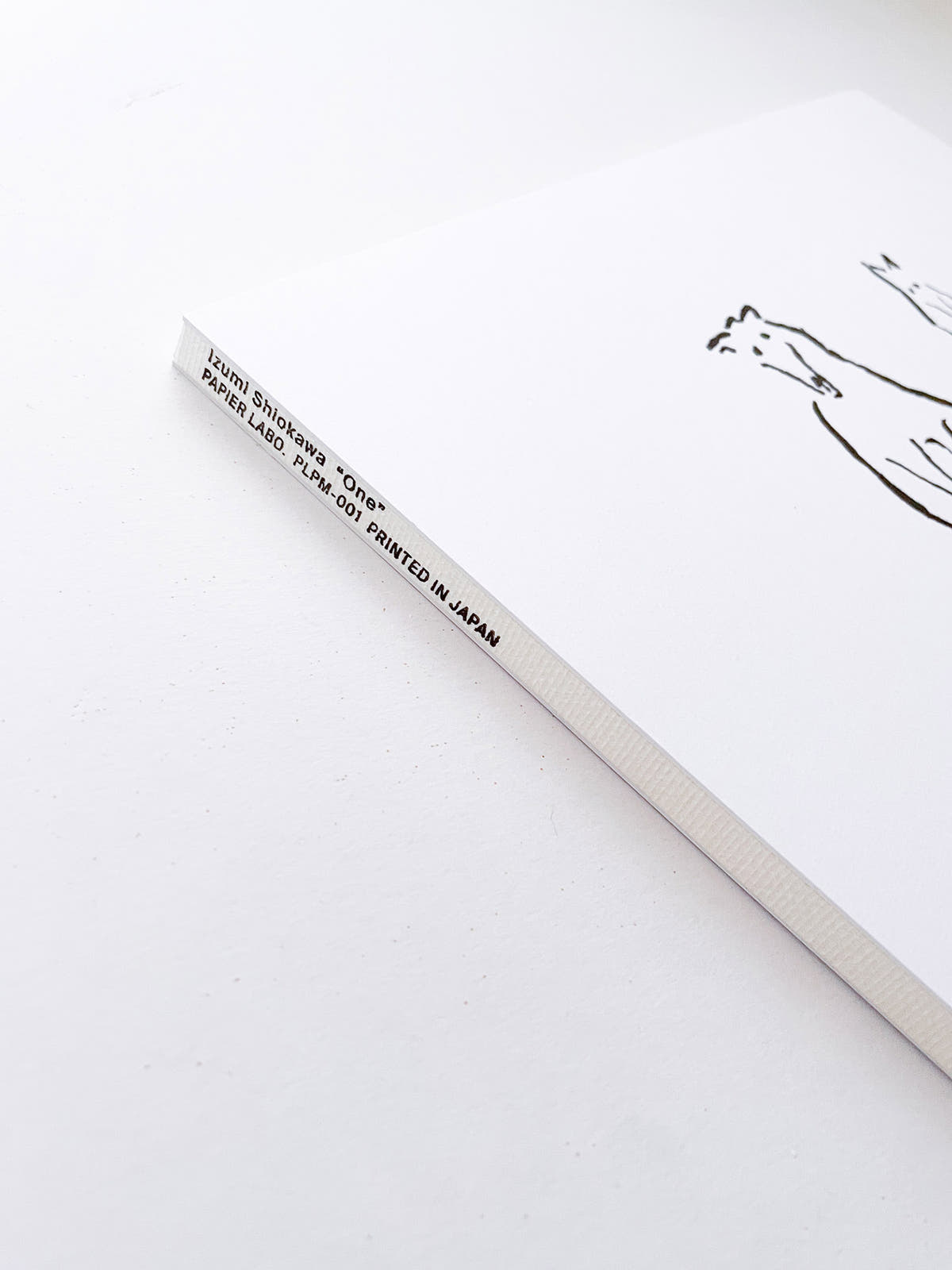 One / Izumi Shiokawa [SIGNED]