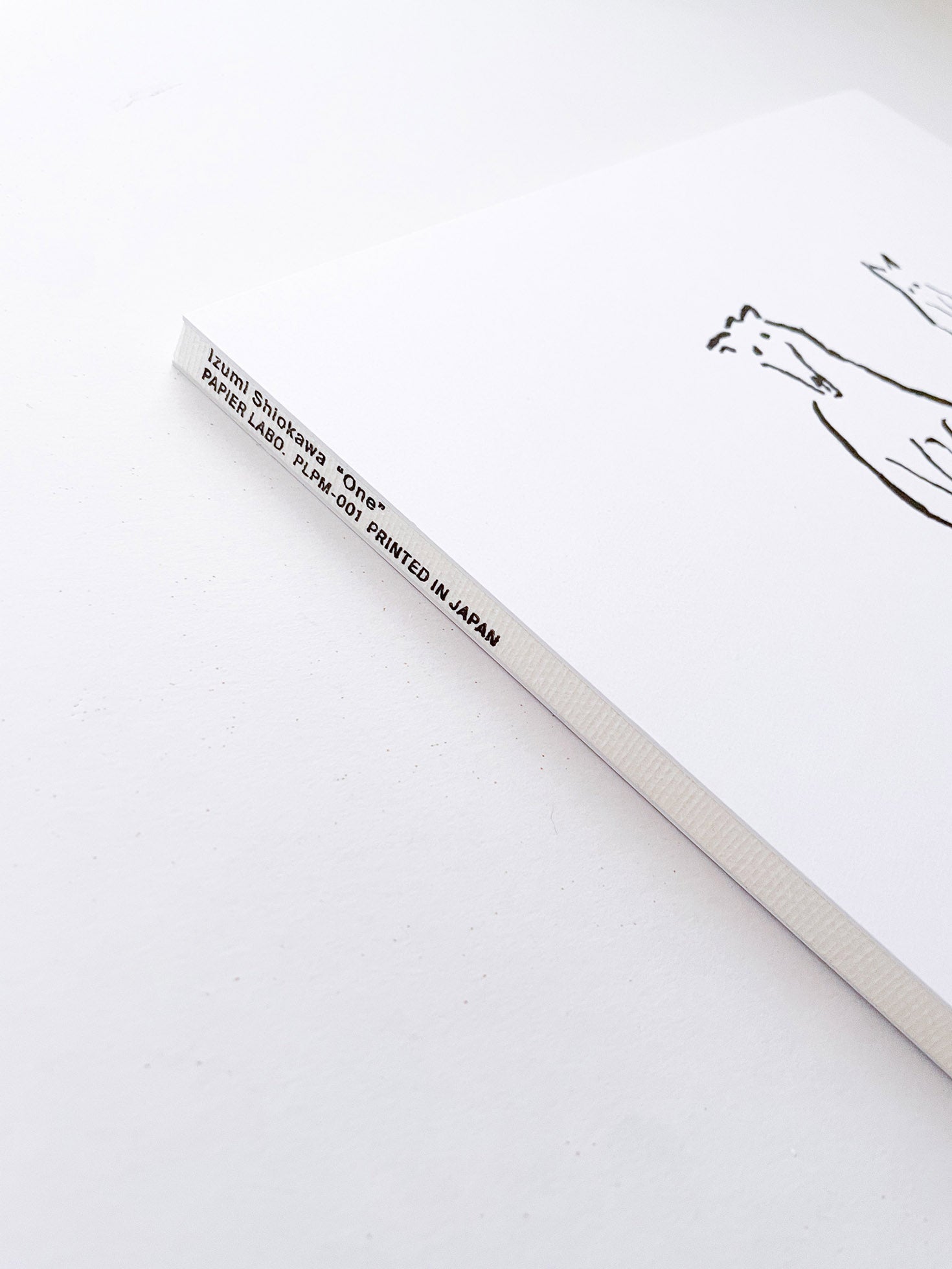 One / Izumi Shiokawa [SIGNED]