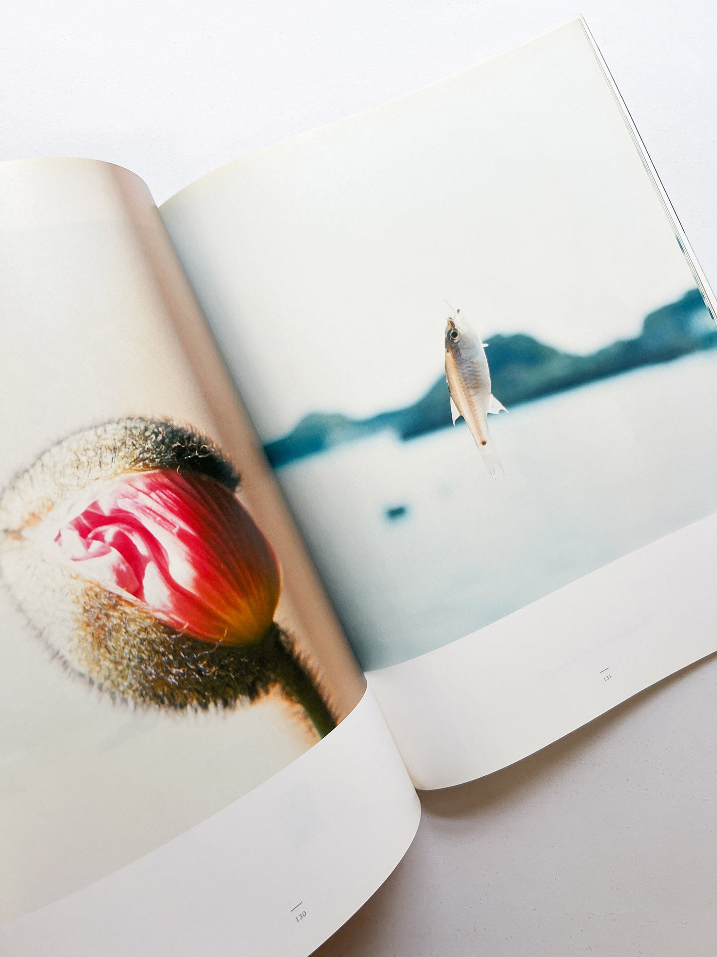 A MAGAZINE CURATED BY YOHJI YAMAMOTO - 本屋青旗 Ao-Hata Bookstore