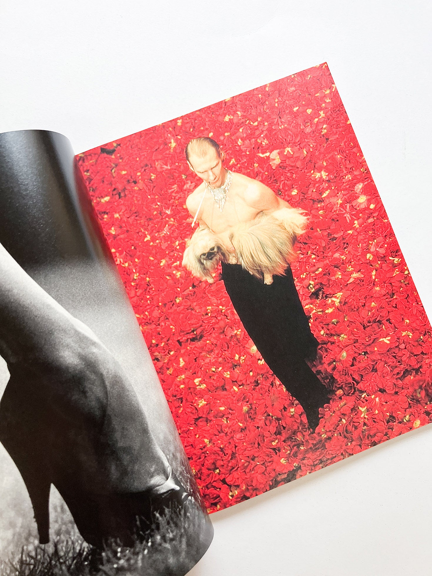 A MAGAZINE CURATED BY YOHJI YAMAMOTO - 本屋青旗 Ao-Hata Bookstore