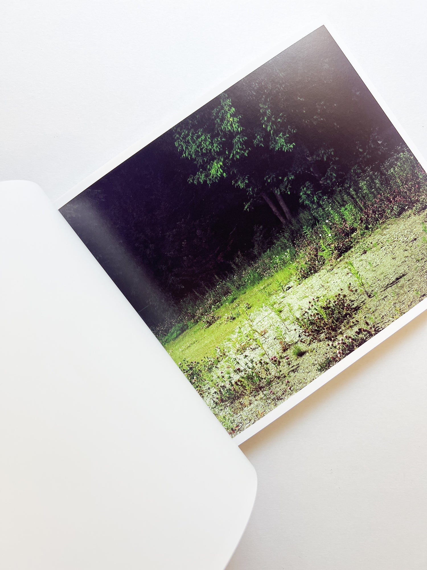 場所 A Place / Hideki Makiguchi