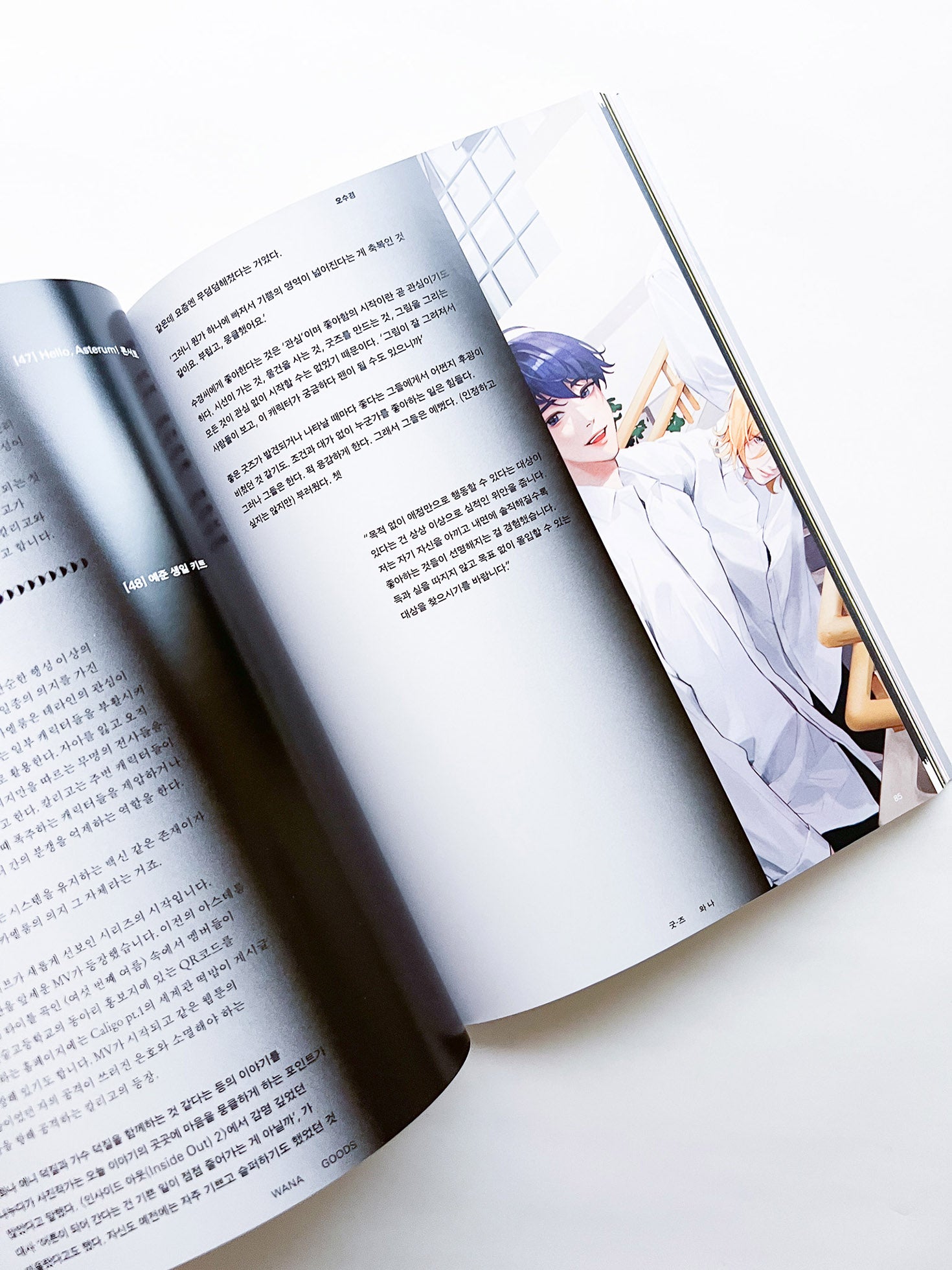 Free: Culture Magazine WANA 2025 vol.12 <굿-즈 와 나>