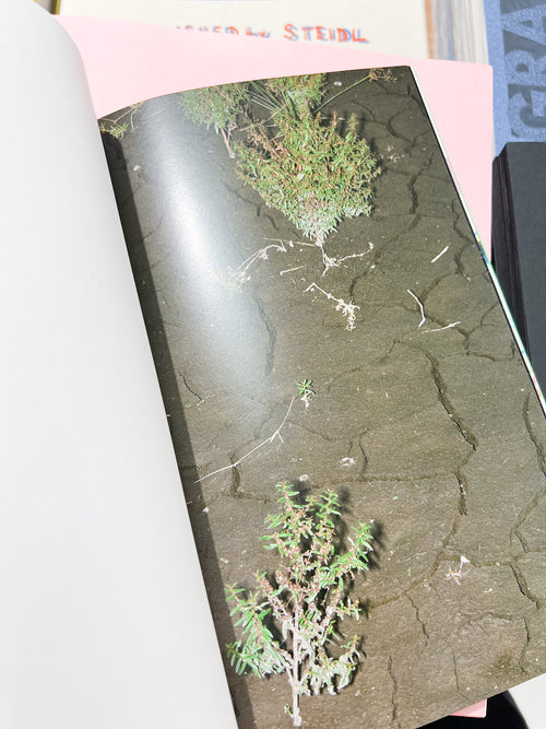 YOUNG GREEN LETTER / Taisuke Nakano, Yosuke Kobashi