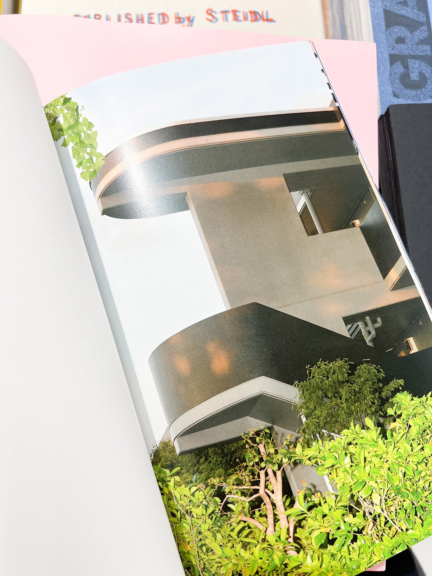 YOUNG GREEN LETTER / Taisuke Nakano, Yosuke Kobashi