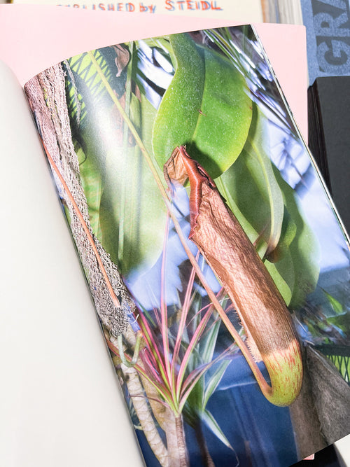 YOUNG GREEN LETTER / Taisuke Nakano, Yosuke Kobashi