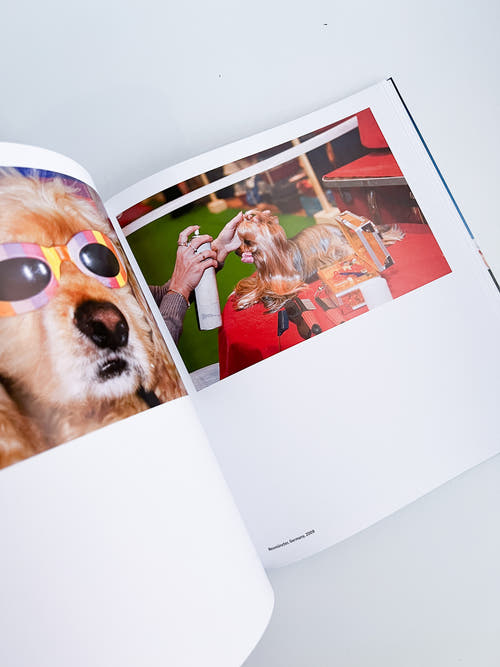 Global Warning / Martin Parr