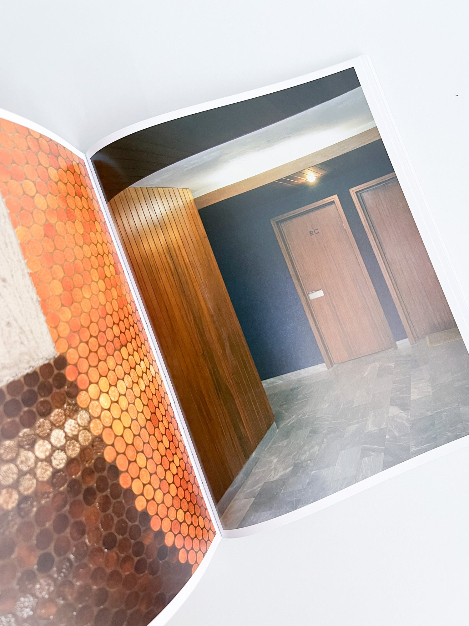HALLWAYS / Romain Laprade