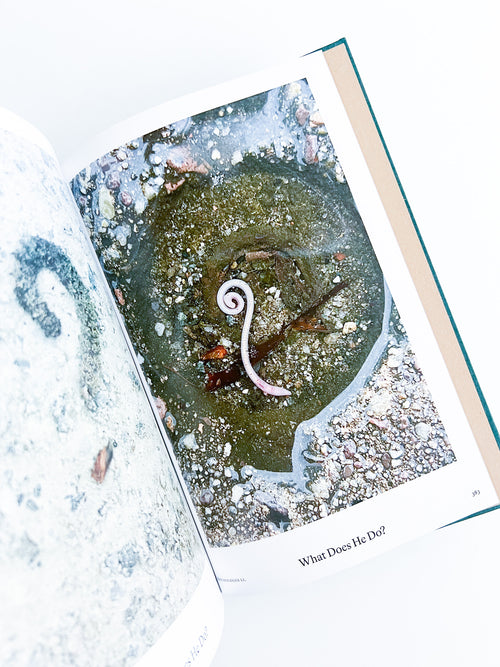 Bestiary / Anne Geene, Arjan de Nooy