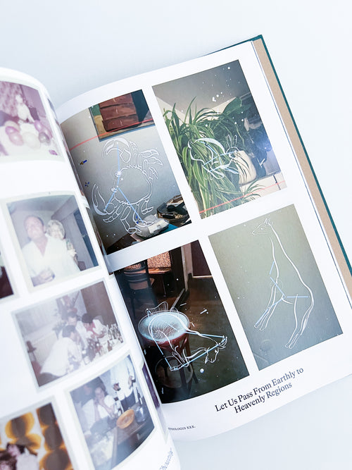 Bestiary / Anne Geene, Arjan de Nooy