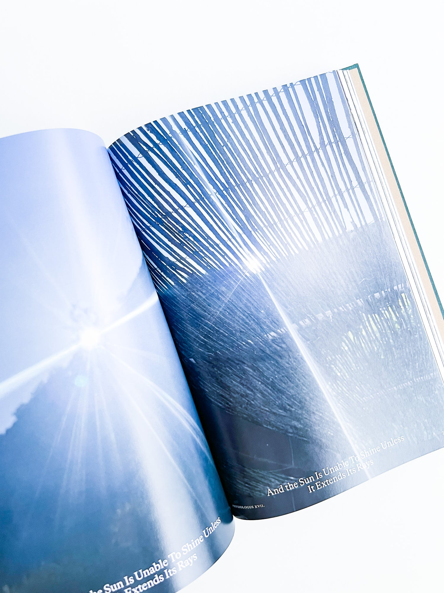 Bestiary / Anne Geene, Arjan de Nooy