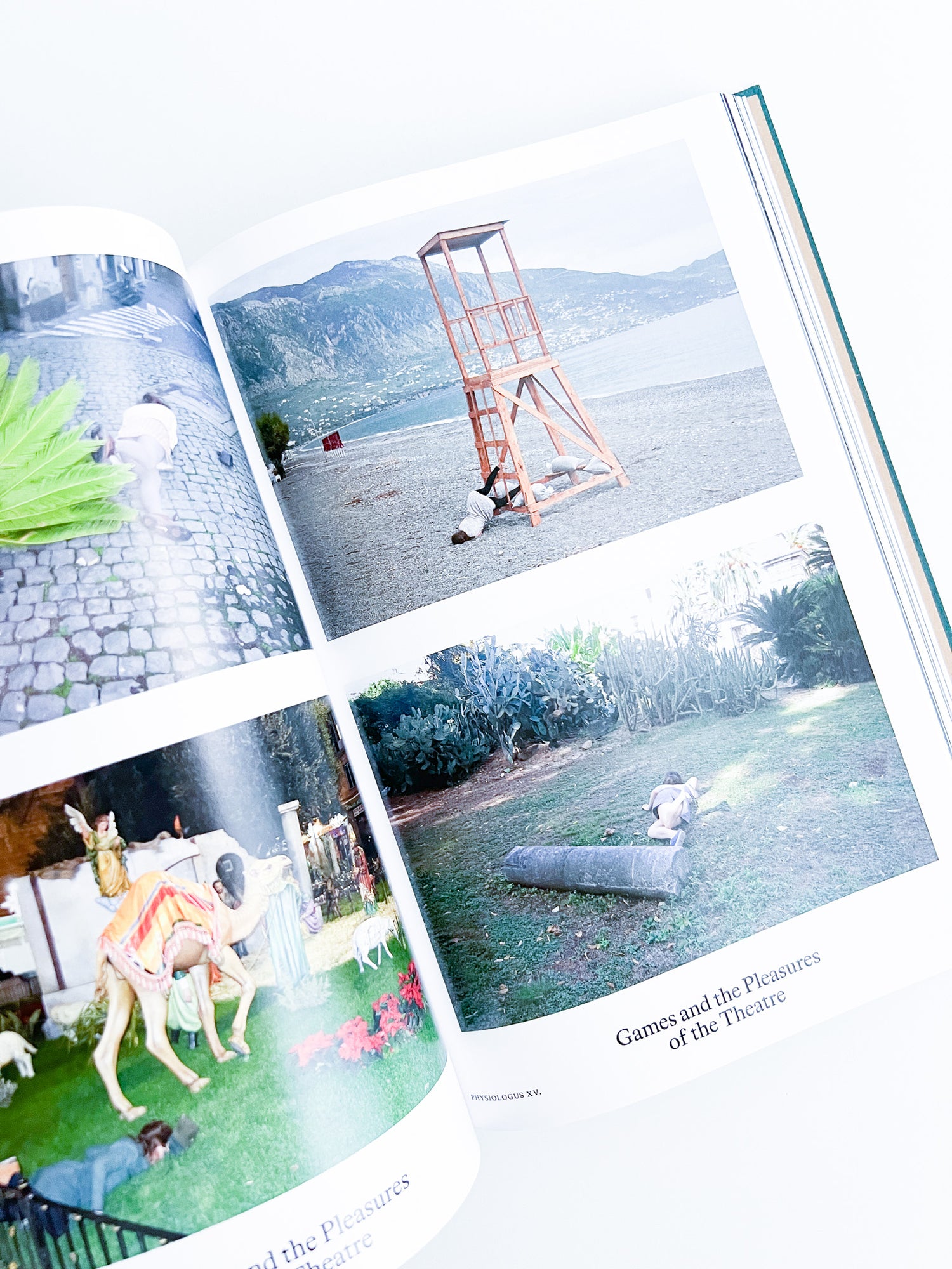 Bestiary / Anne Geene, Arjan de Nooy