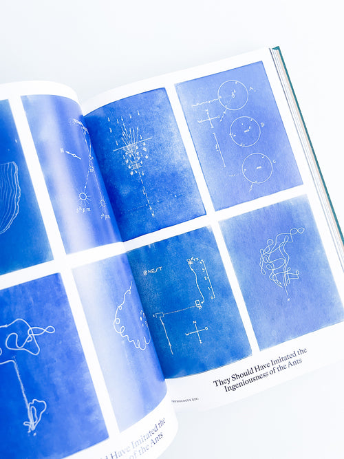 Bestiary / Anne Geene, Arjan de Nooy