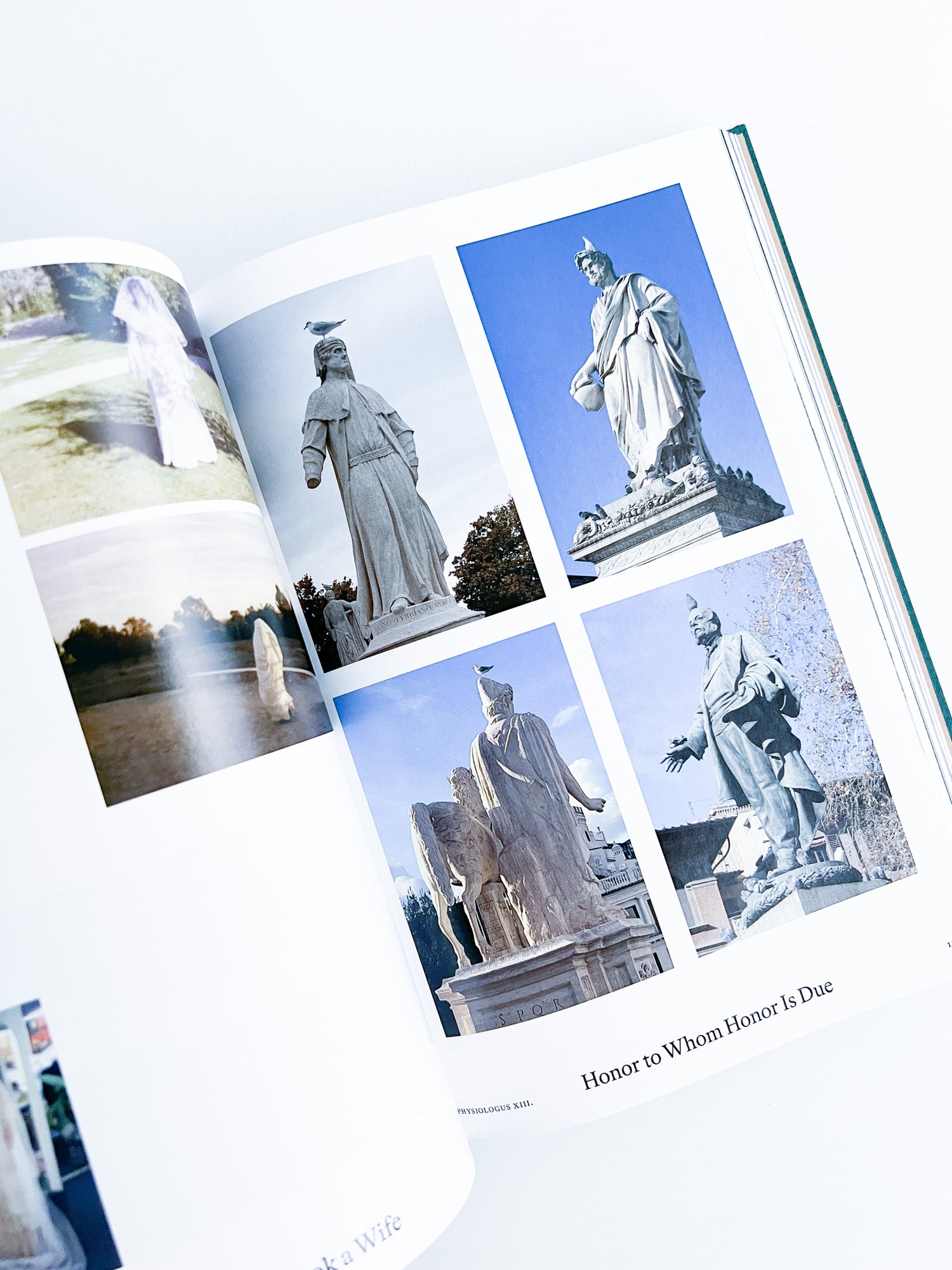 Bestiary / Anne Geene, Arjan de Nooy