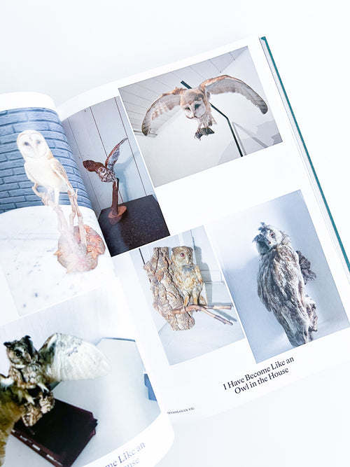 Bestiary / Anne Geene, Arjan de Nooy