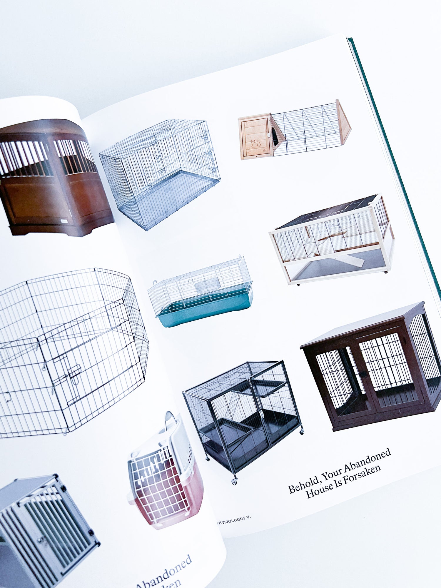 Bestiary / Anne Geene, Arjan de Nooy