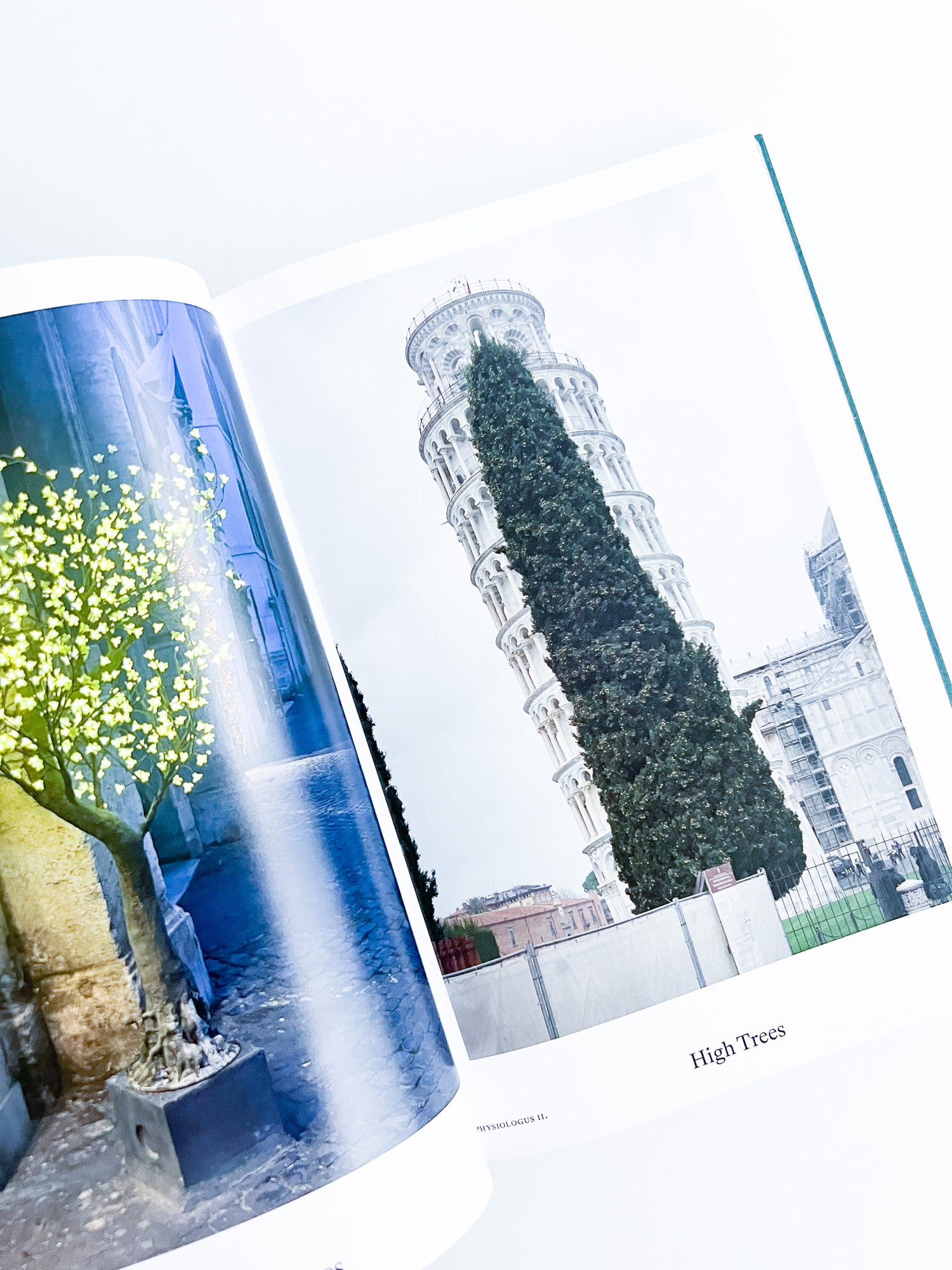 Bestiary / Anne Geene, Arjan de Nooy