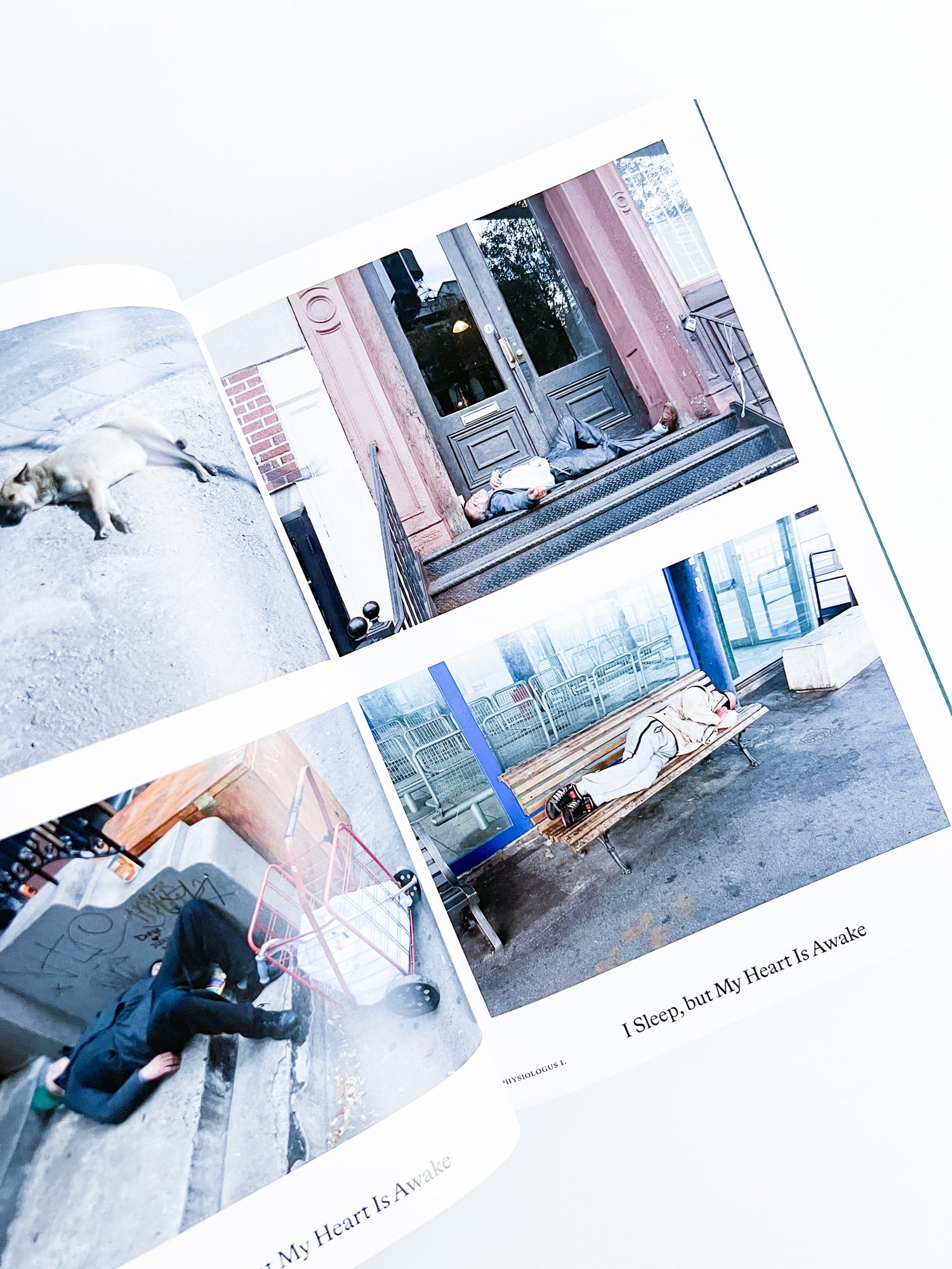 Bestiary / Anne Geene, Arjan de Nooy