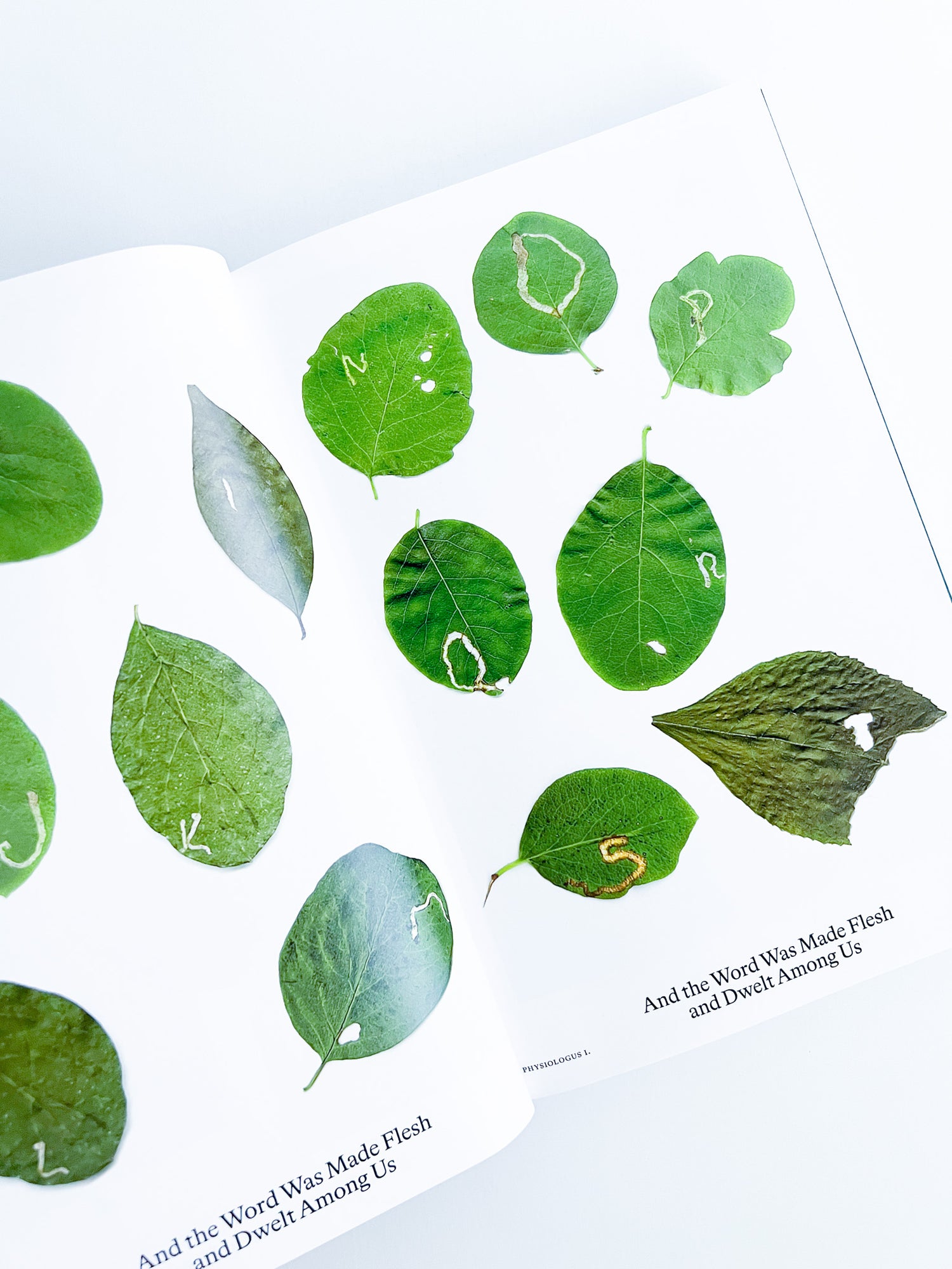 Bestiary / Anne Geene, Arjan de Nooy