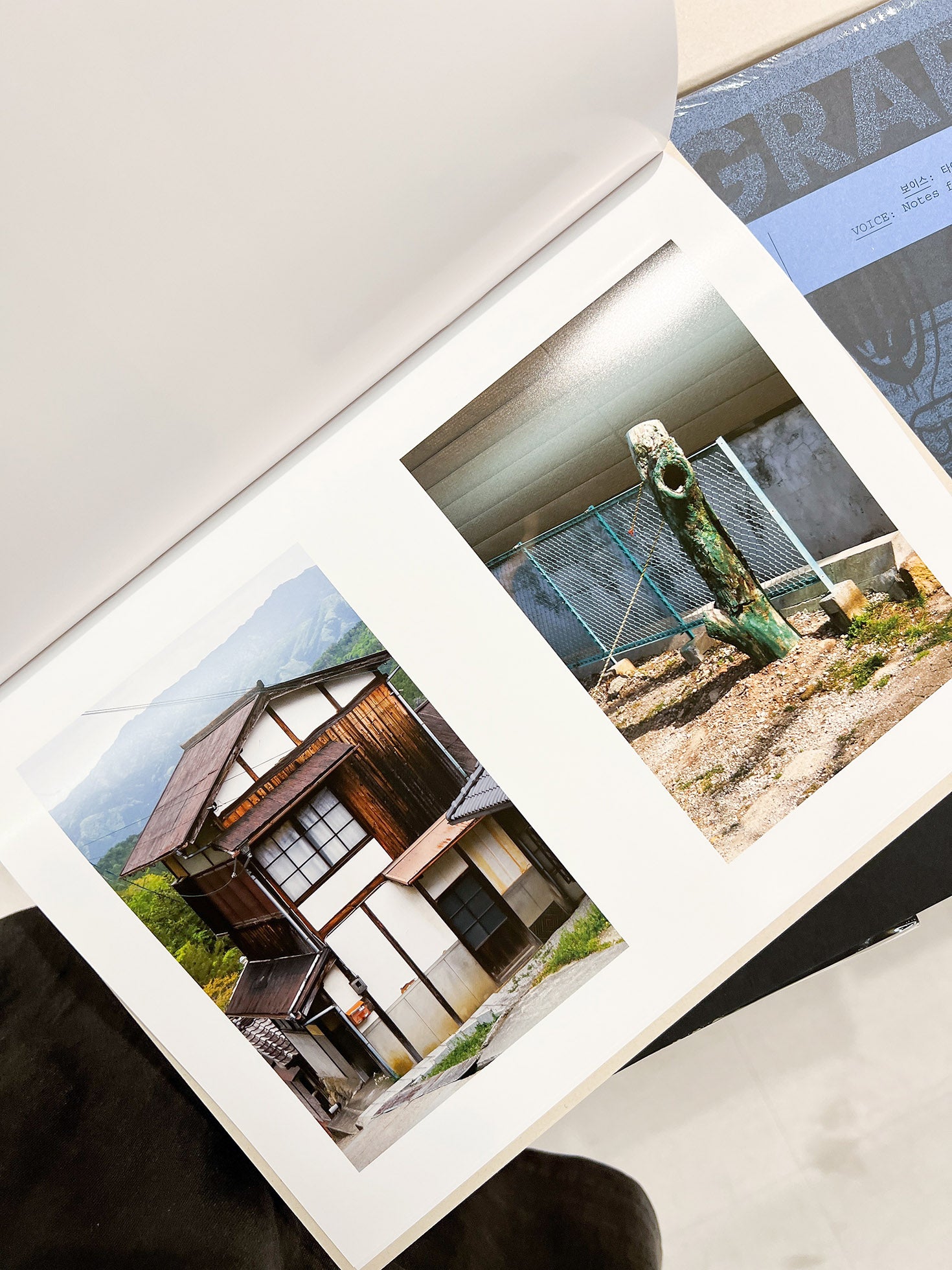 How Things Look / Max Creasy