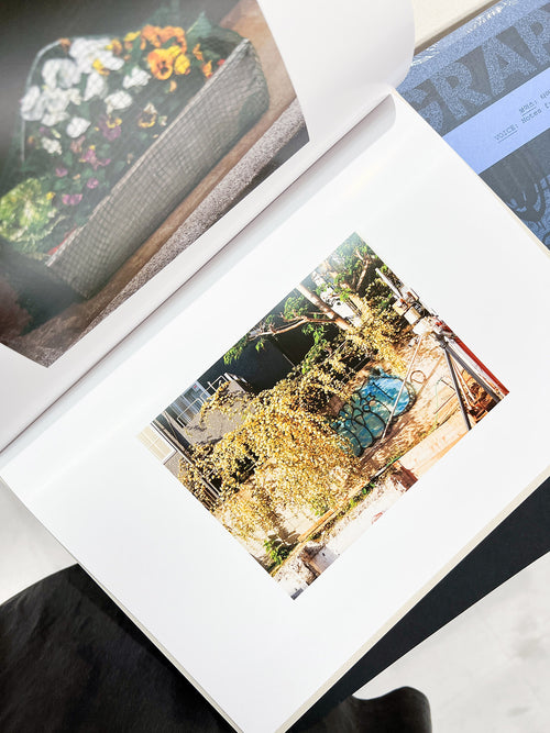 How Things Look / Max Creasy