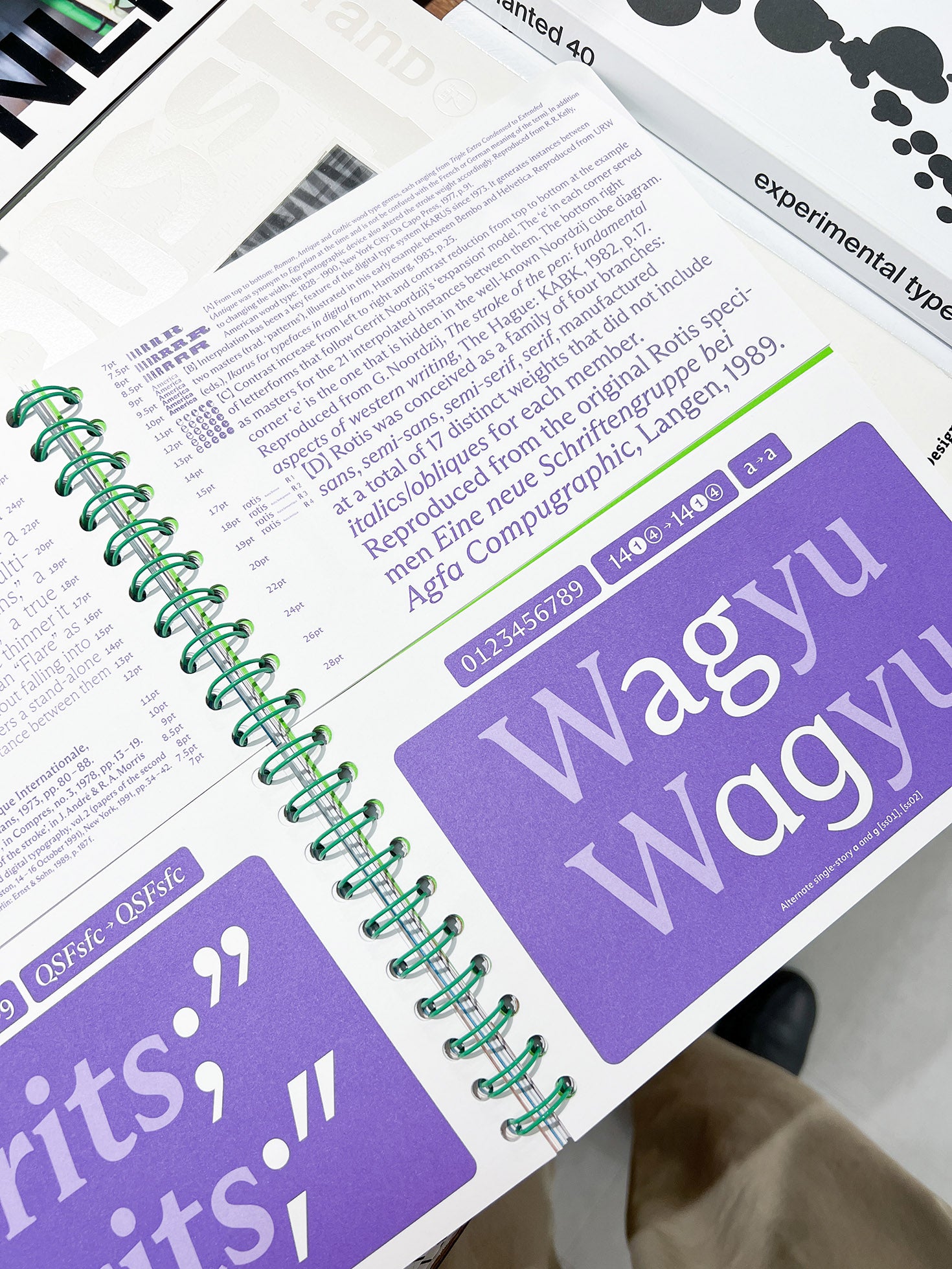 THE ARIZONA TYPE SPECIMEN 2 / Dinamo